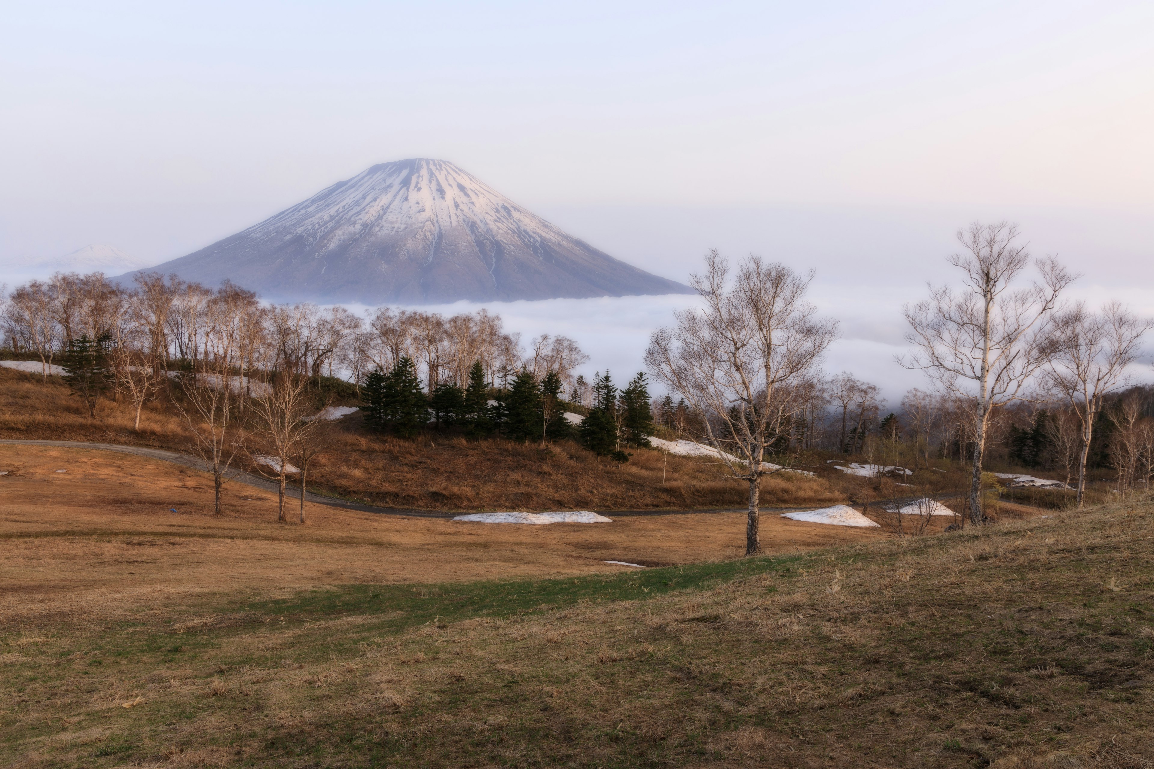 Snow-capped mountain surrounded by a sea of fog and expansive grassland