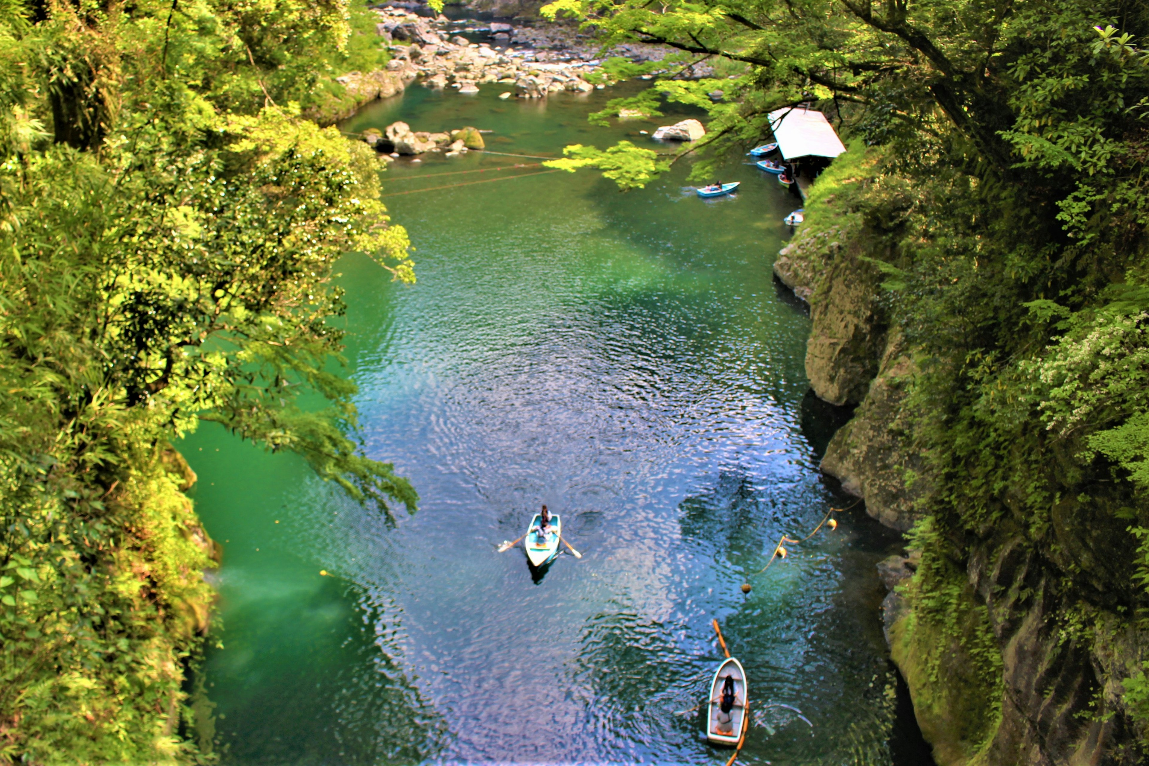 緑豊かな渓谷の中でボートが漂う穏やかな水域の風景