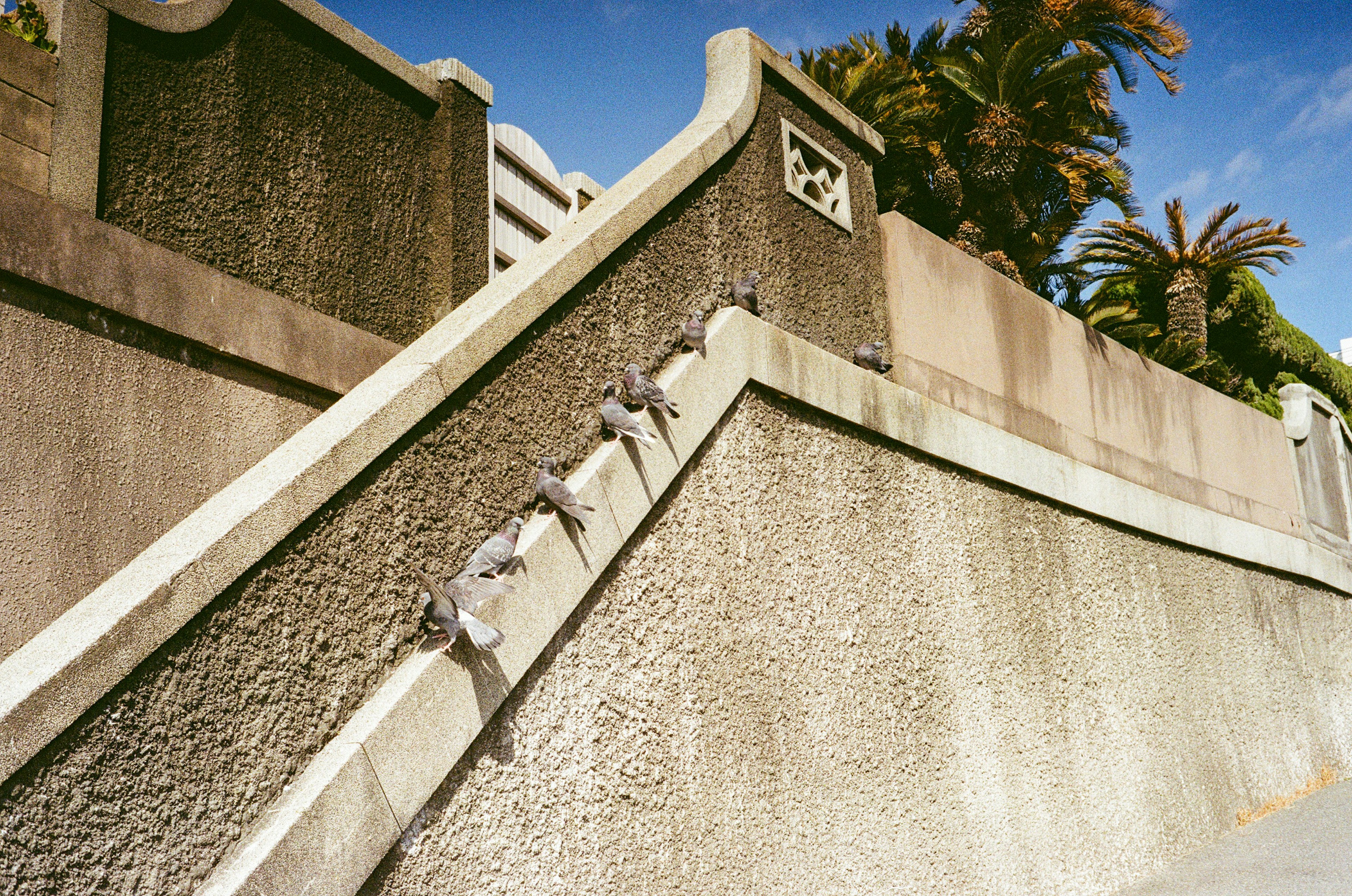 A textured gray wall with decorative elements and greenery along a slope