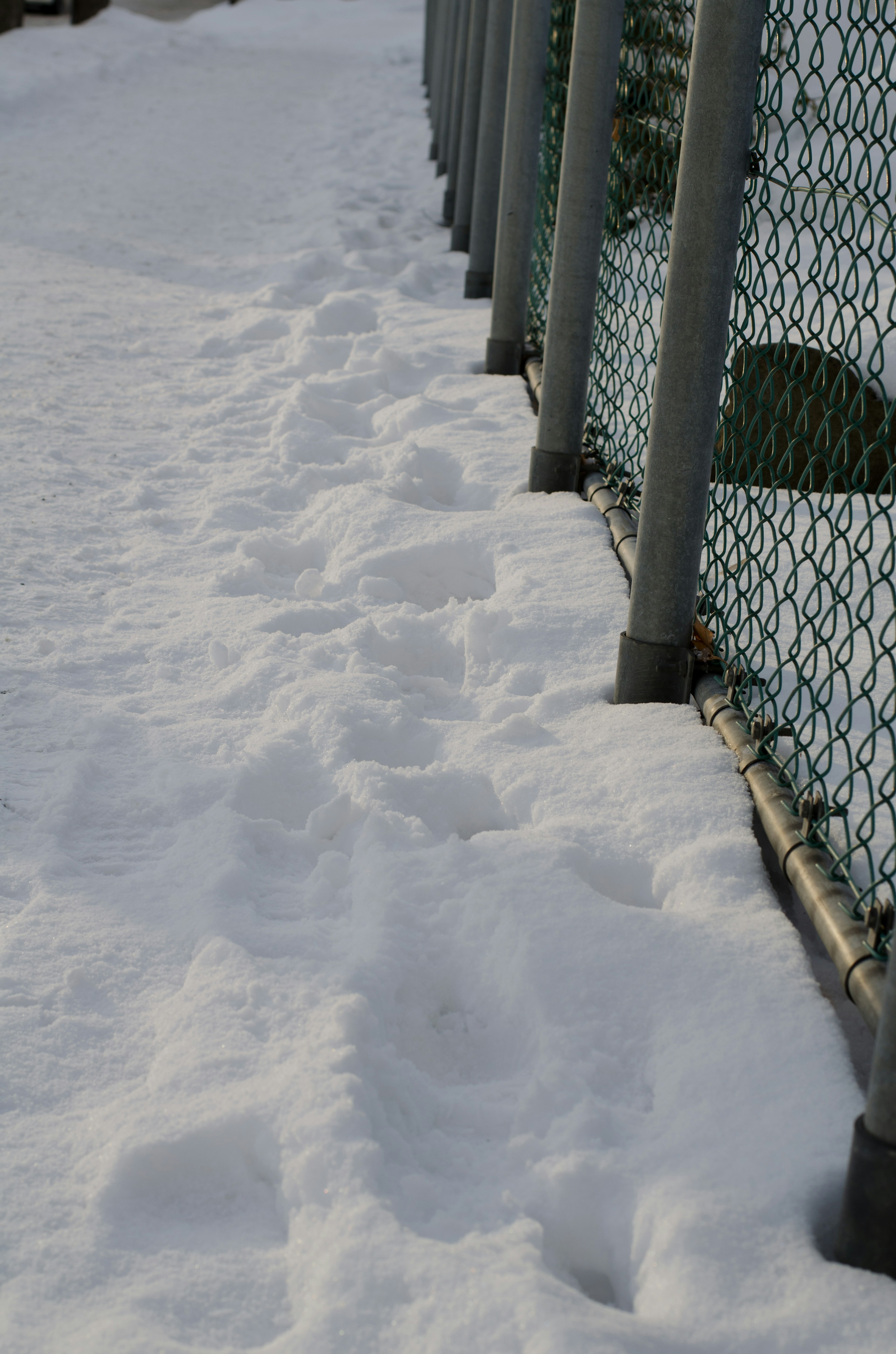 Path covered in snow alongside a metal fence