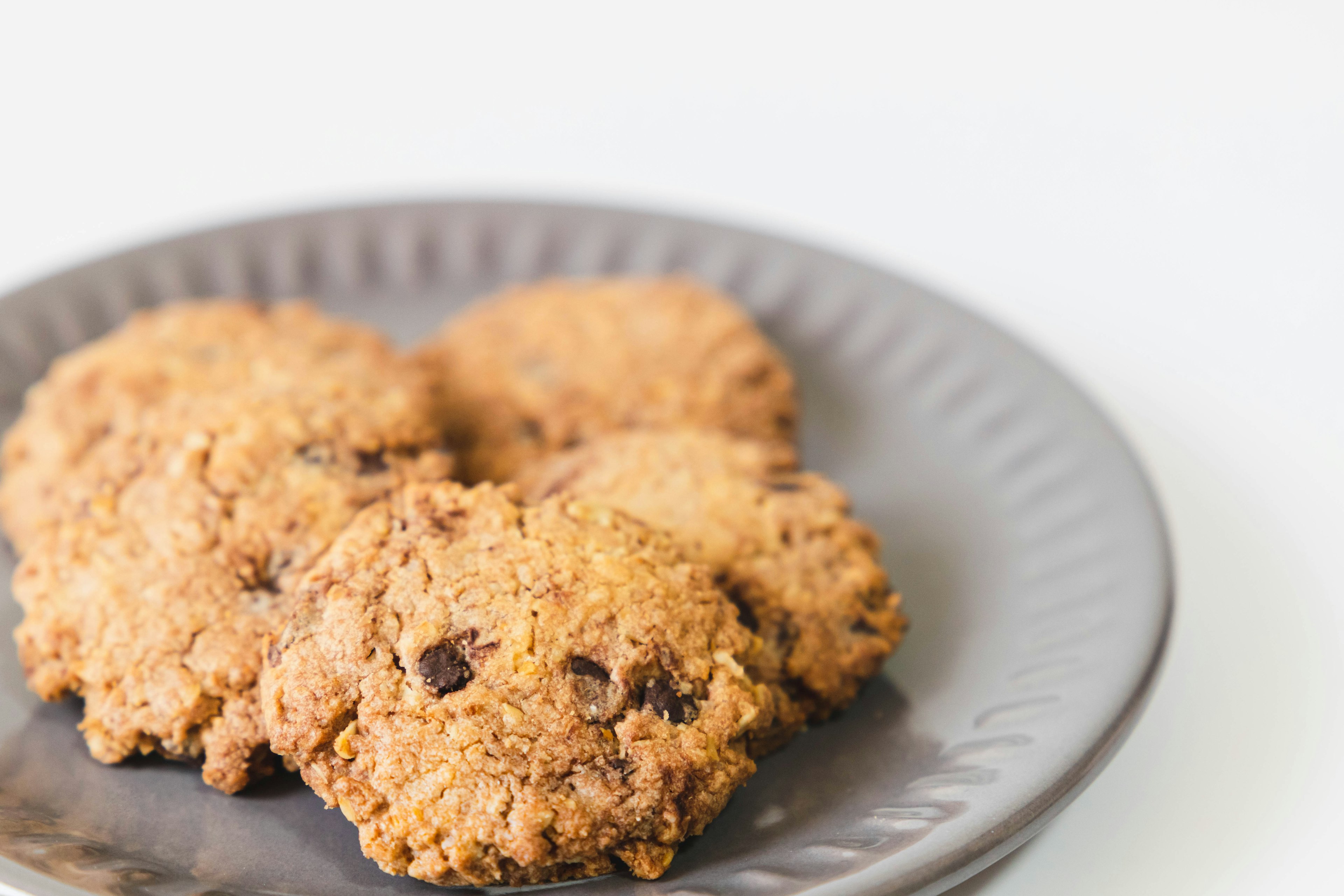 Galletas de chispas de chocolate recién horneadas en un plato gris