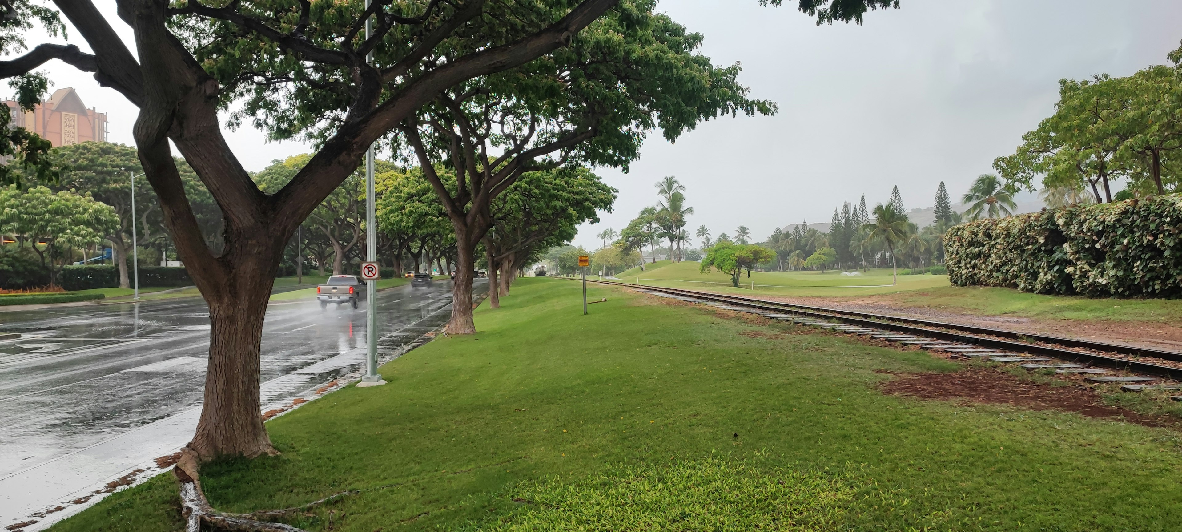 Lush green grass and trees lining a wet path under cloudy skies