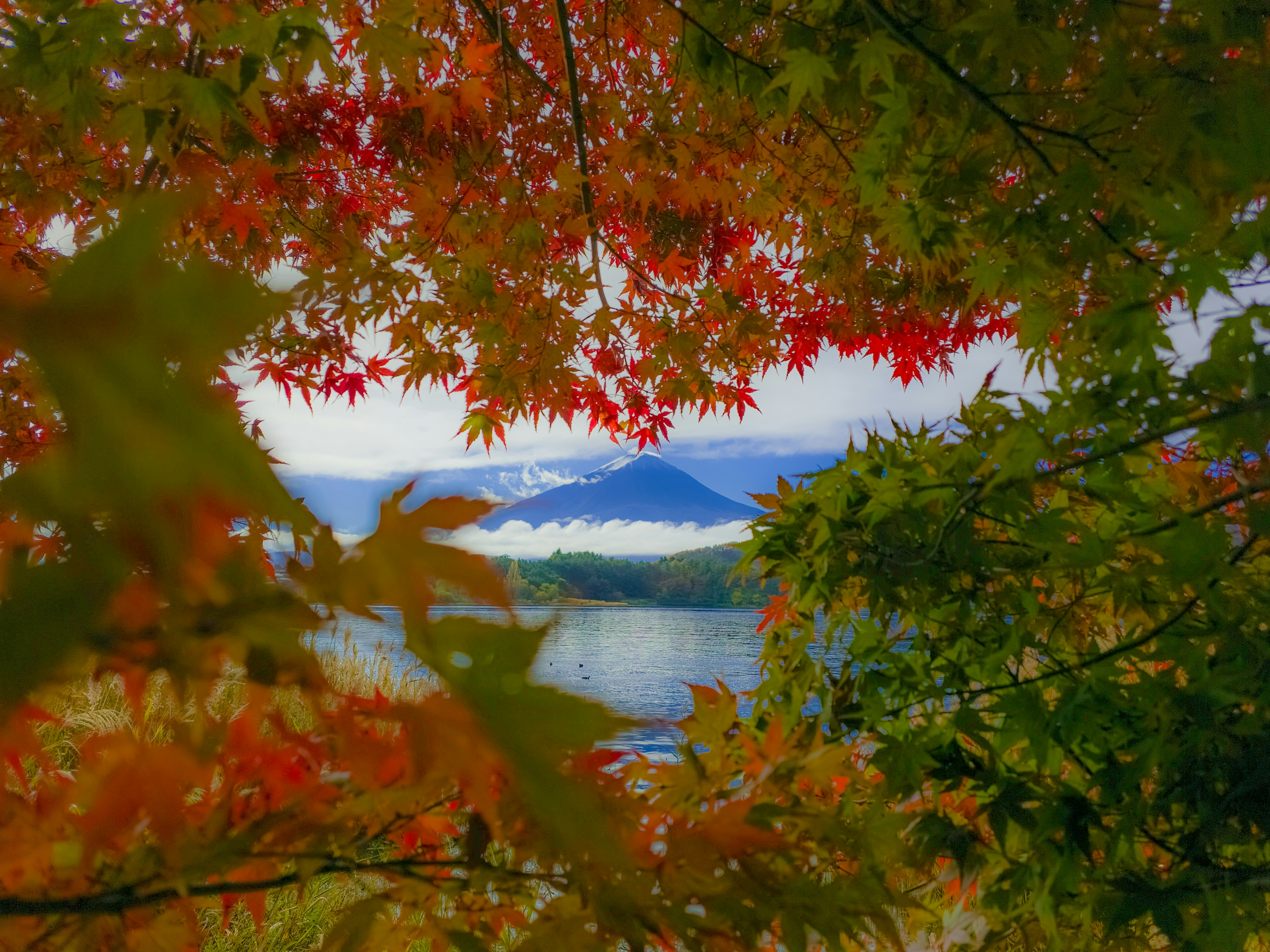 秋天树叶环绕下的湖泊和山脉美景