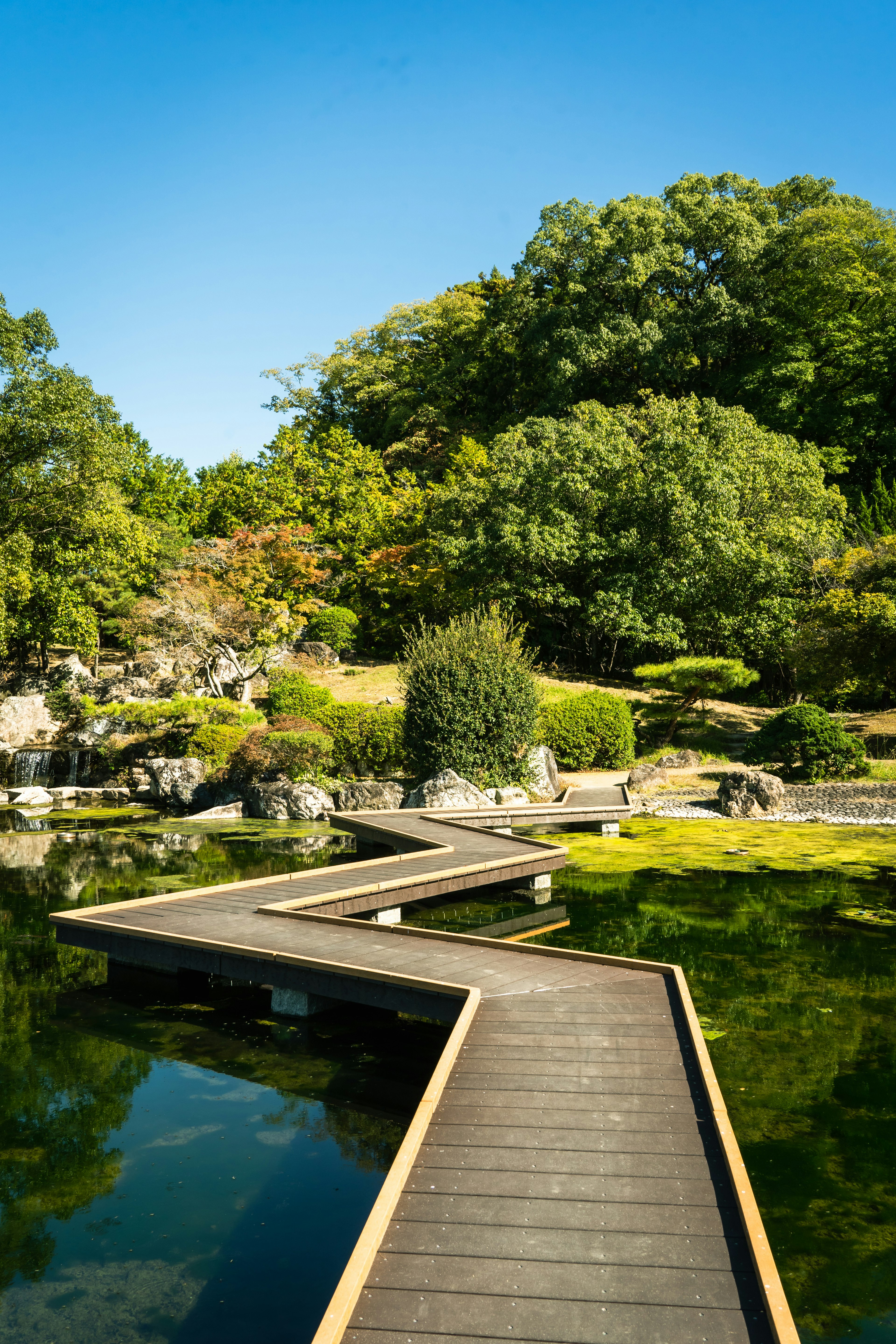 緑豊かな庭園に沿った木製の歩道が池を横切っている風景