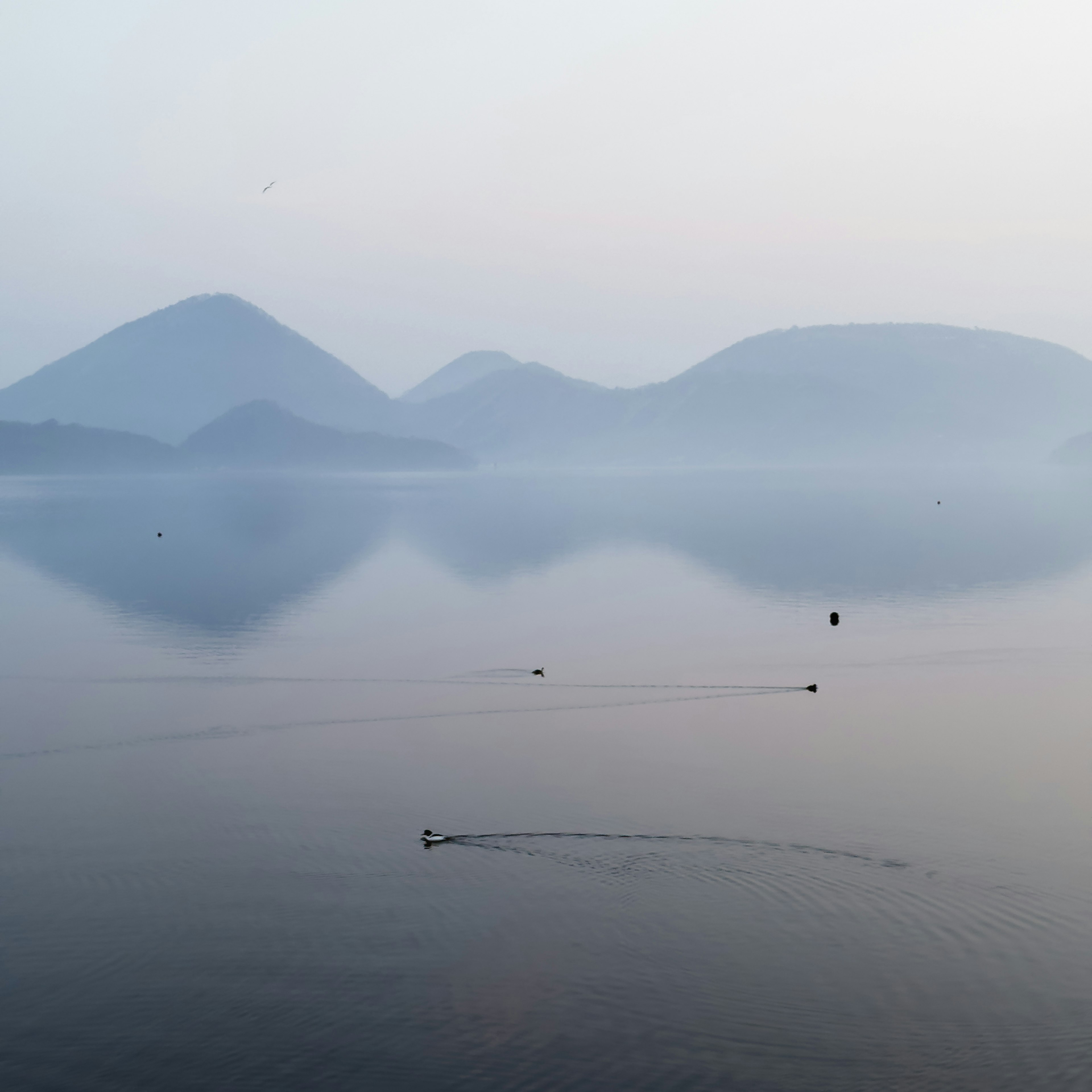 Ruhiger See, der Berge und neblige Landschaft reflektiert