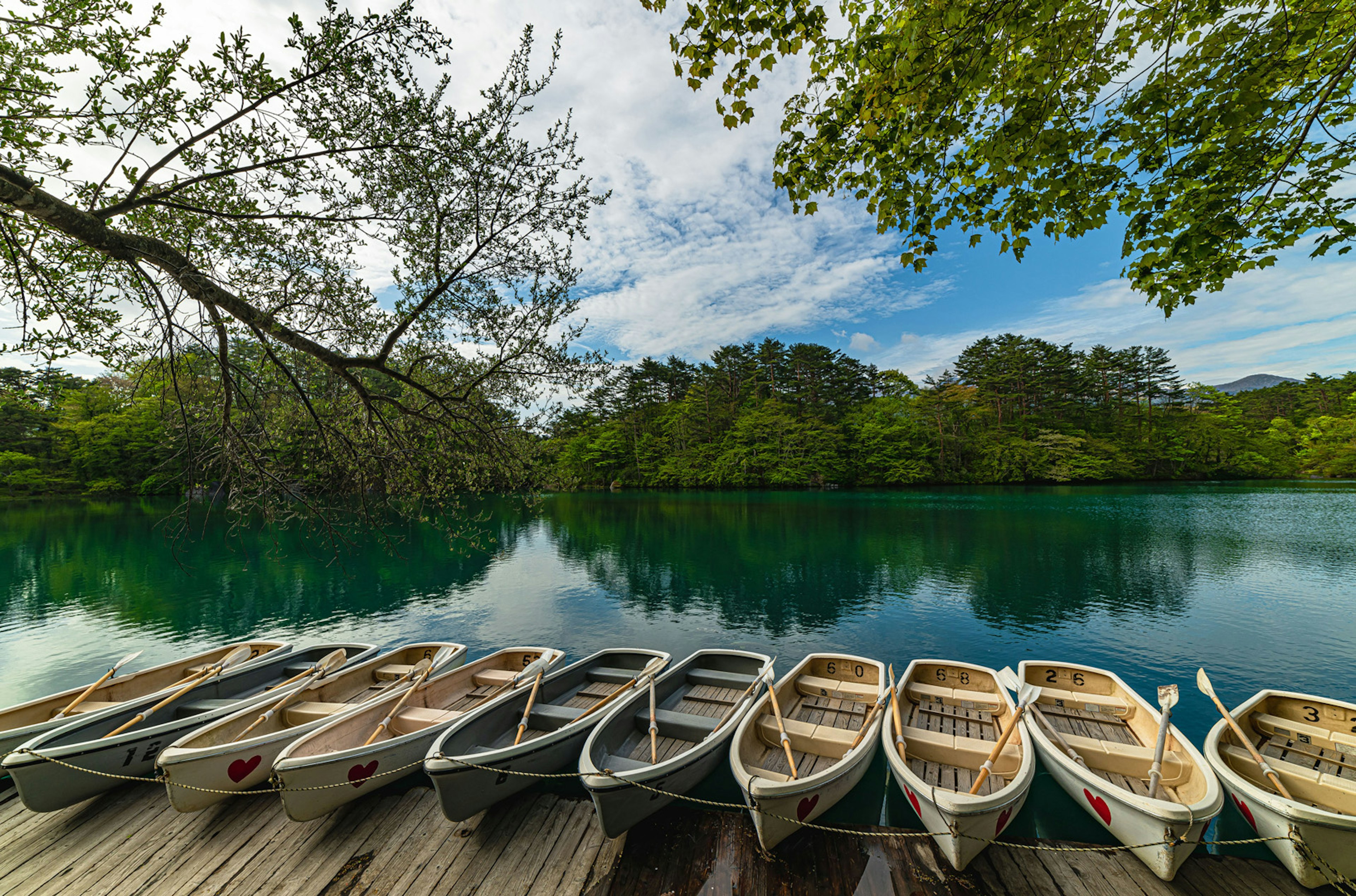 Row of small boats by a tranquil lake surrounded by lush greenery