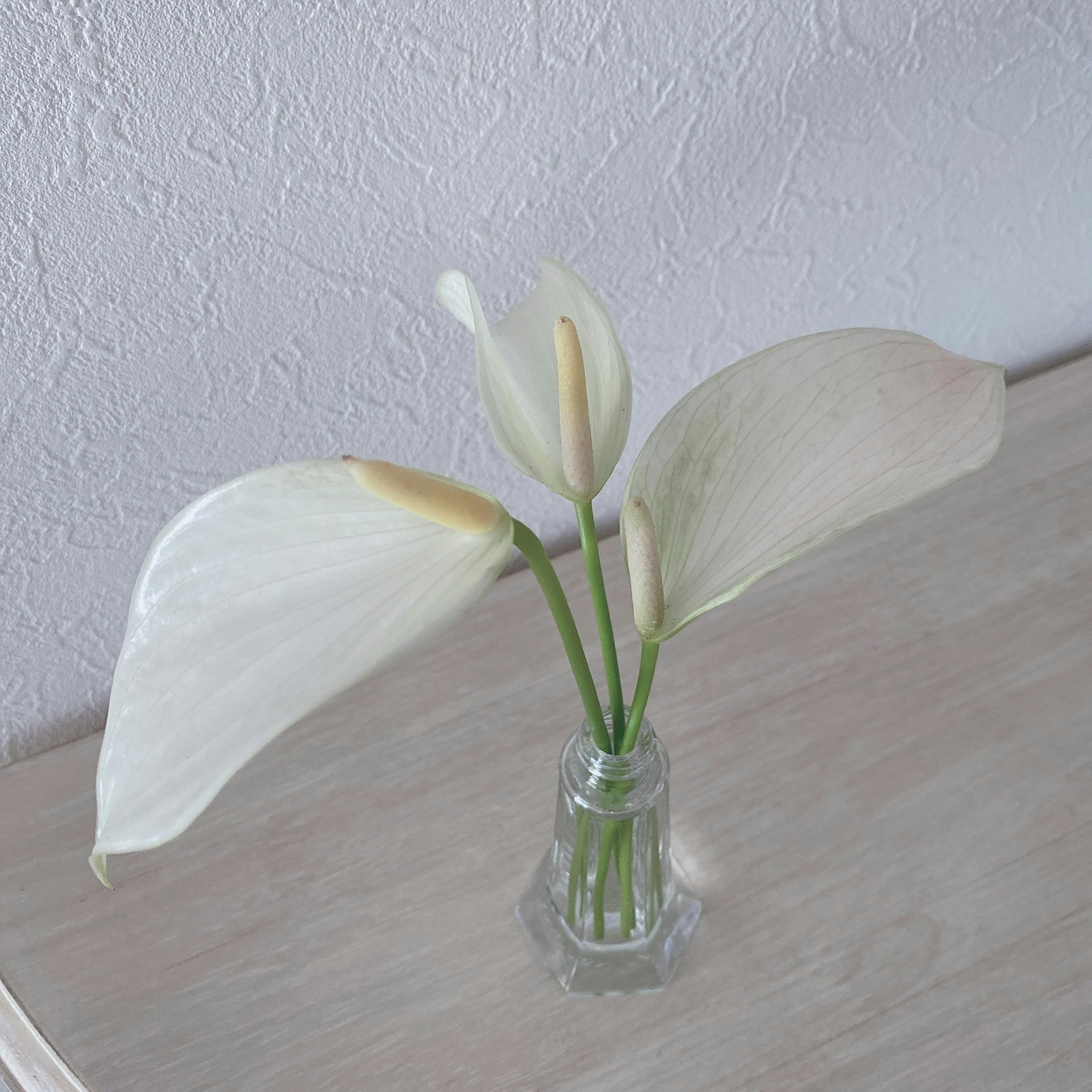 Un arreglo simple de flores y hojas blancas en un jarrón de vidrio