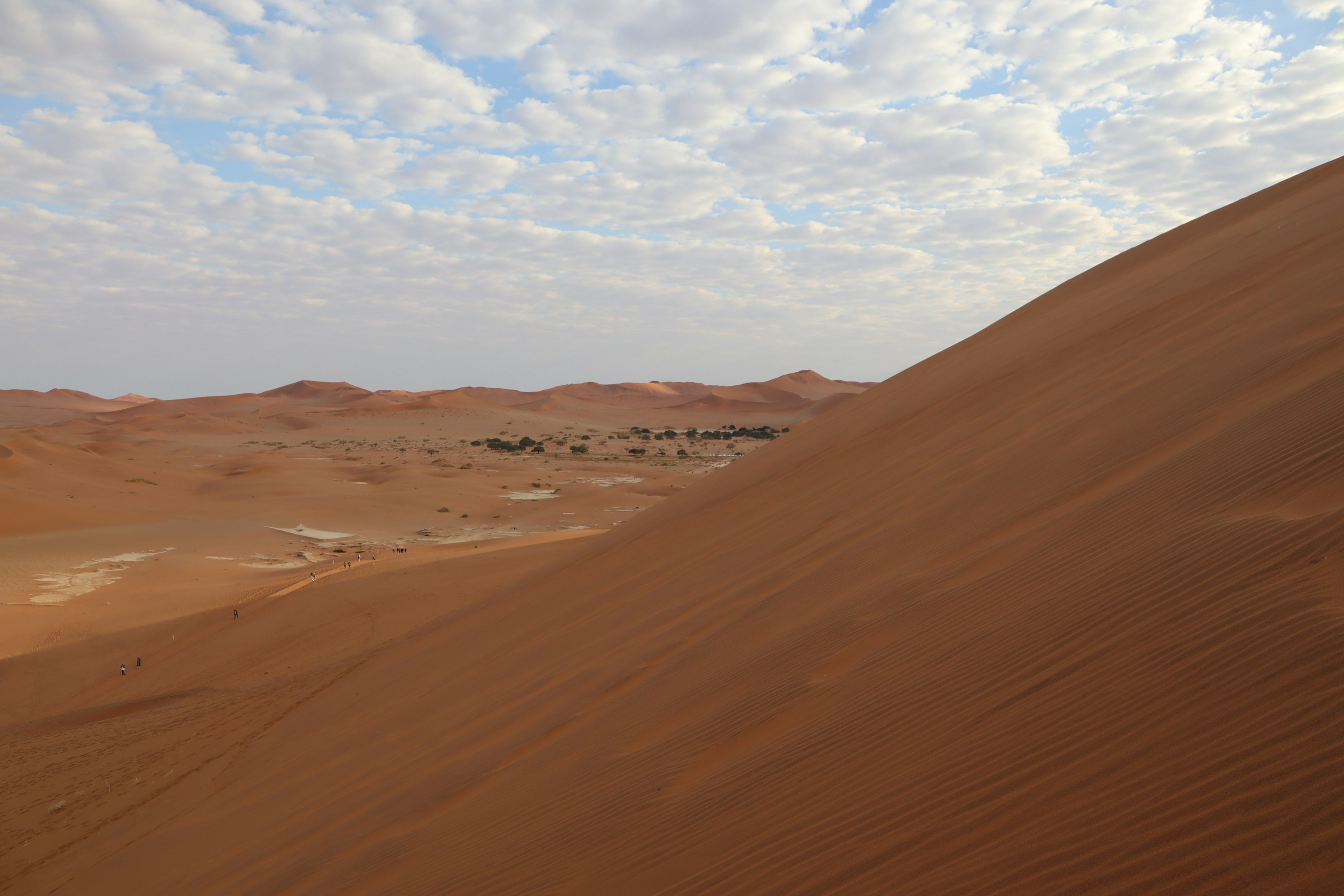 Paesaggio di dune di sabbia marrone con nuvole nel cielo blu che presenta una piccola oasi