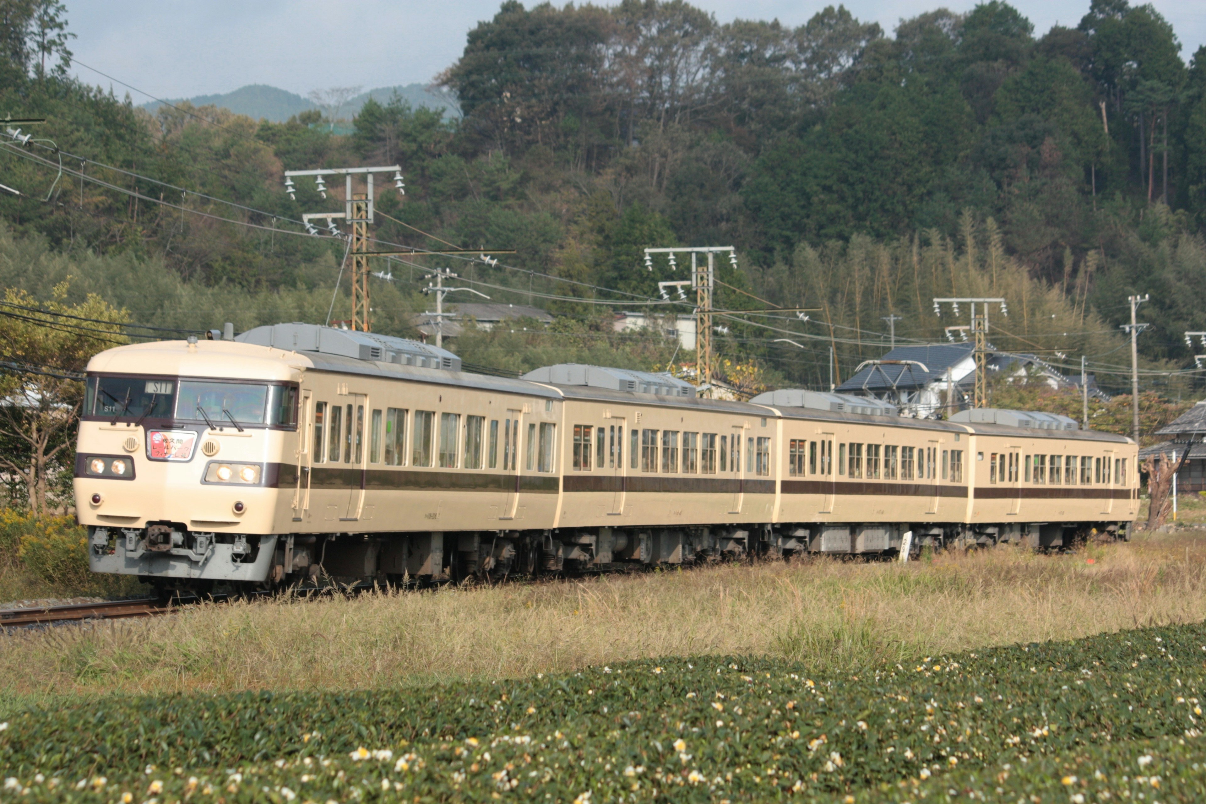 茶色の電車が田畑の中を走行している