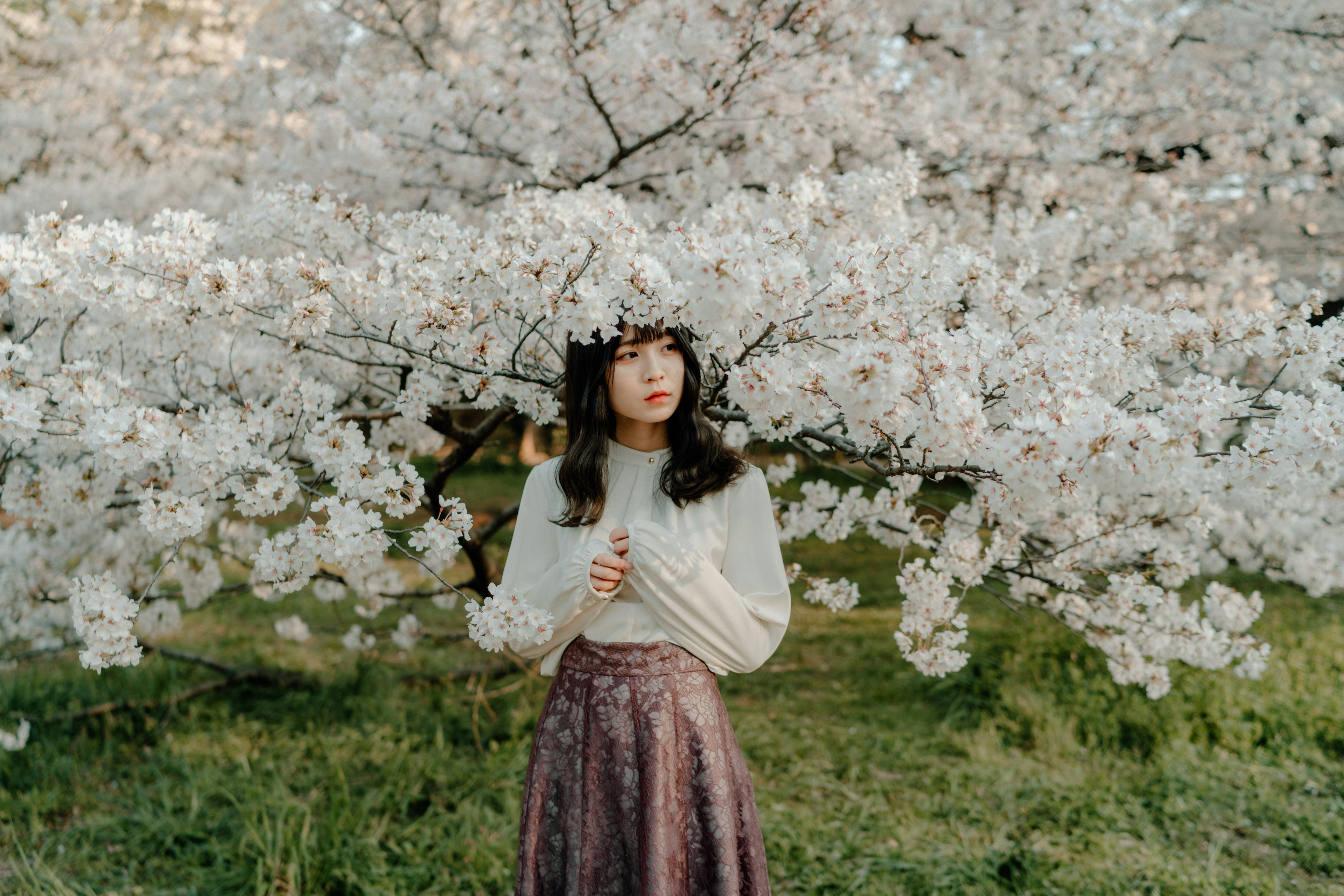 Una donna in piedi sotto un albero di ciliegio in fiore che indossa un maglione bianco e una gonna viola in un ambiente primaverile vivace