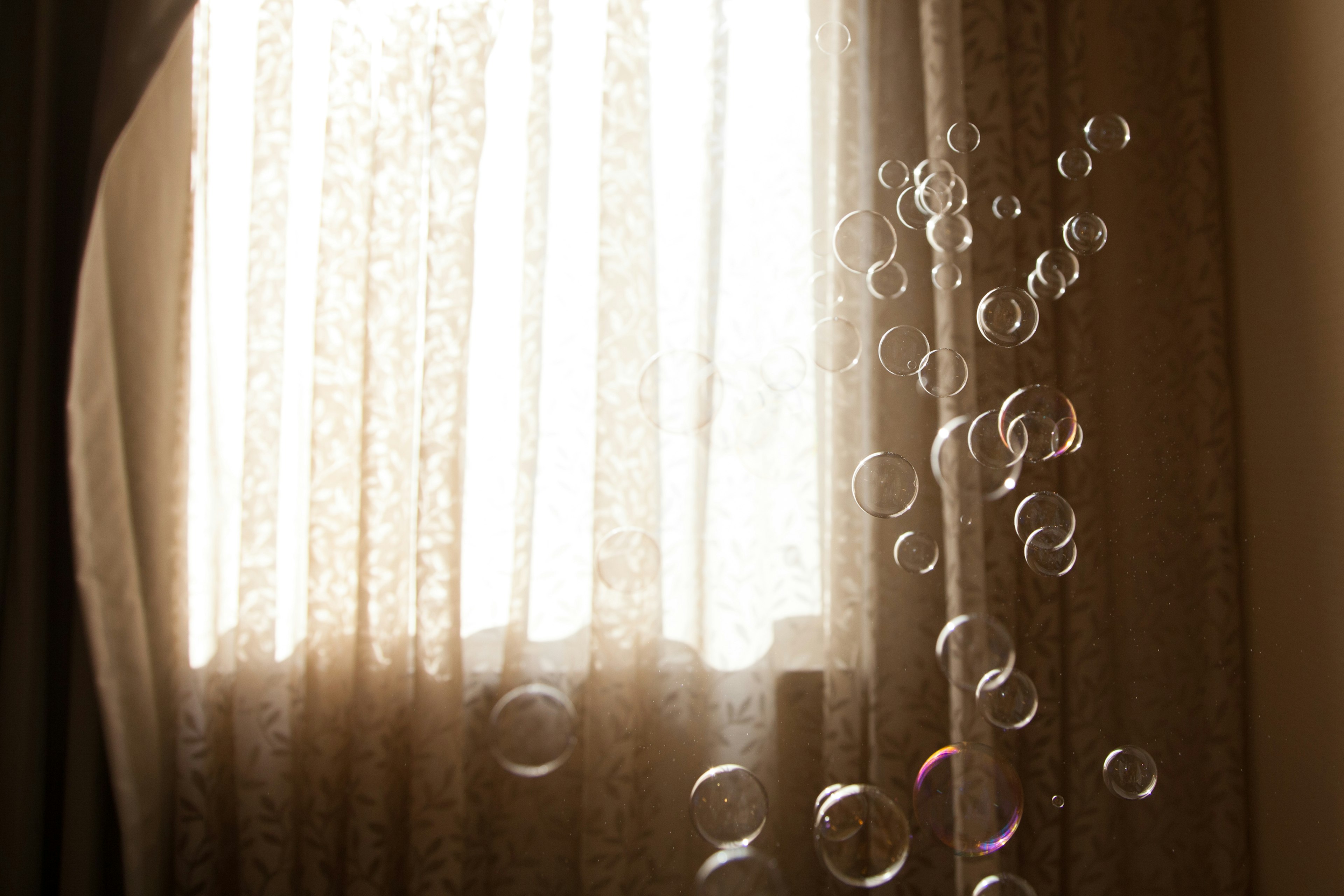 Bubbles floating near a window with sheer curtains and sunlight