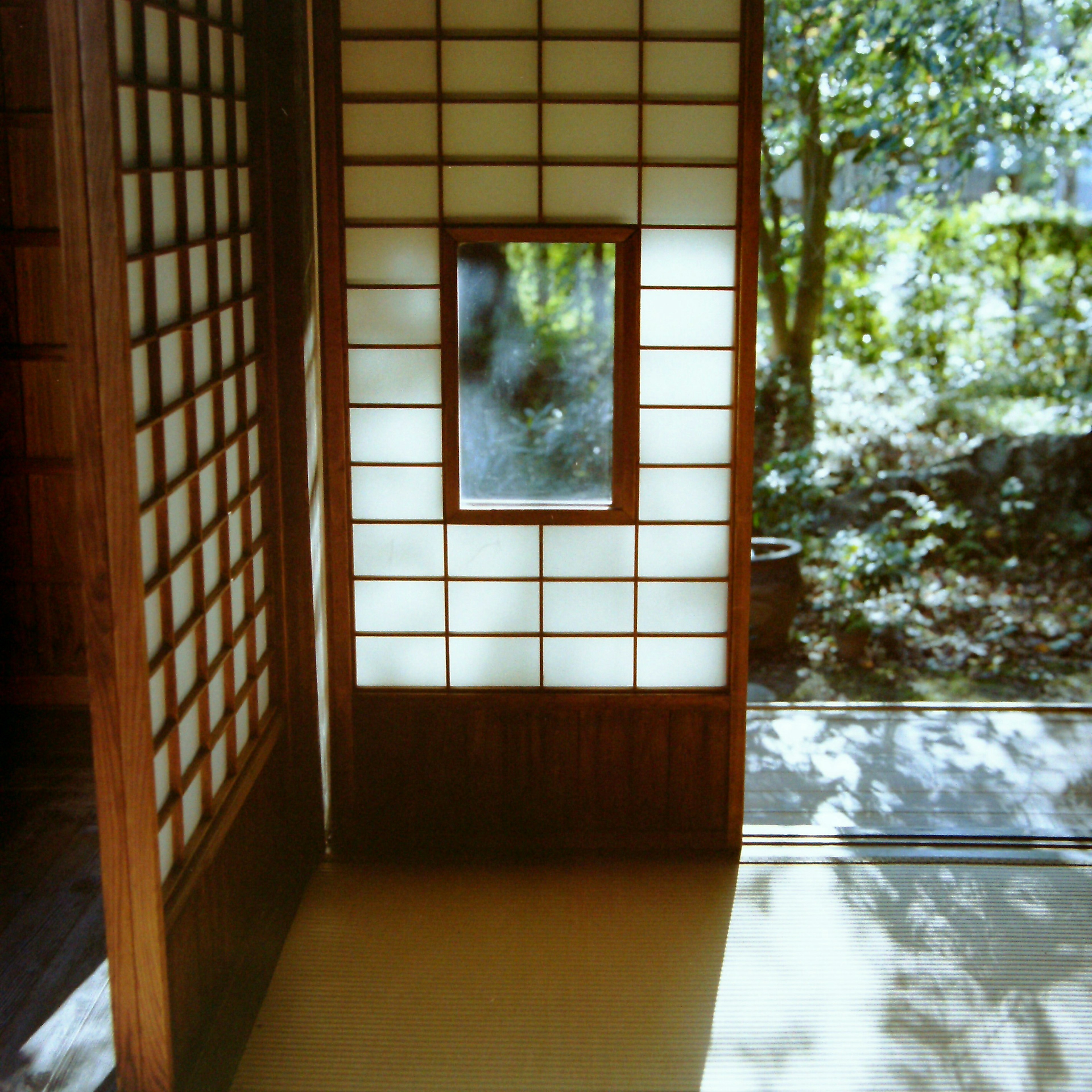 Pemandangan interior tenang dari ruangan Jepang tradisional dengan layar shoji dan jendela