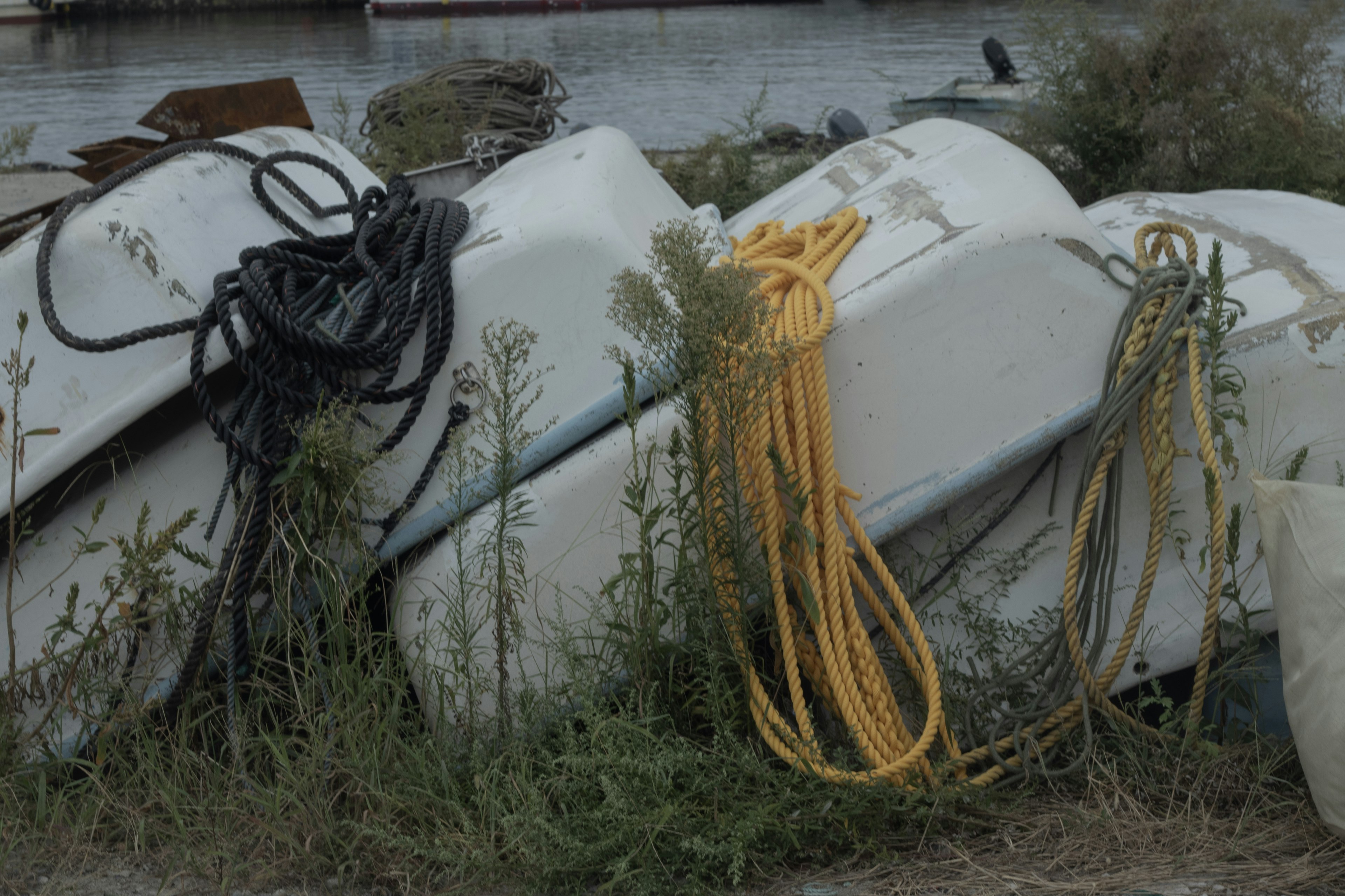 Bateaux blancs entourés d'herbe avec des cordes noires et jaunes en évidence