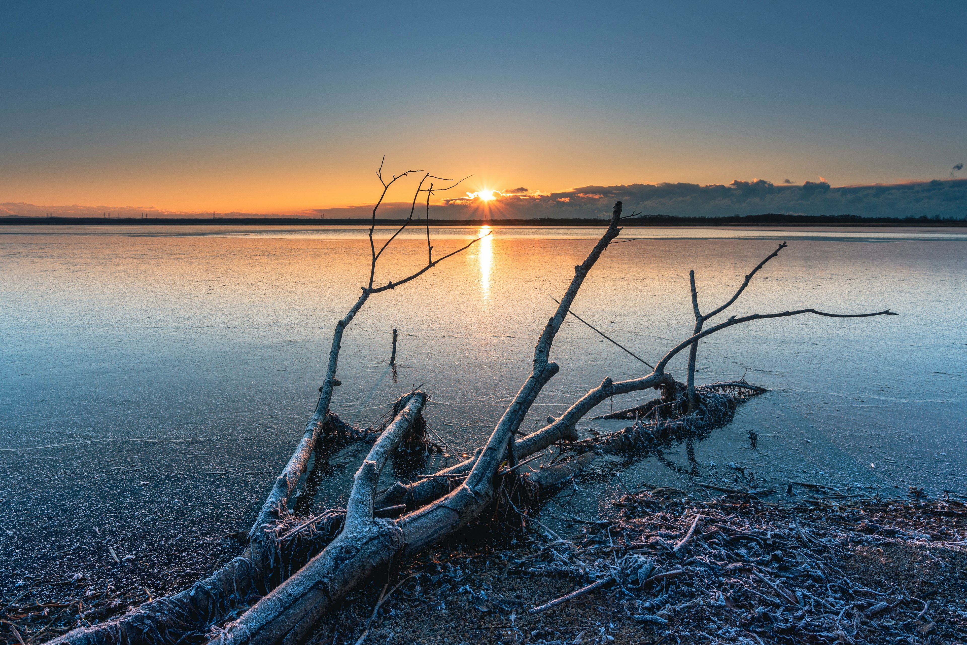 Gefallene Äste am gefrorenen Seeufer bei Sonnenaufgang