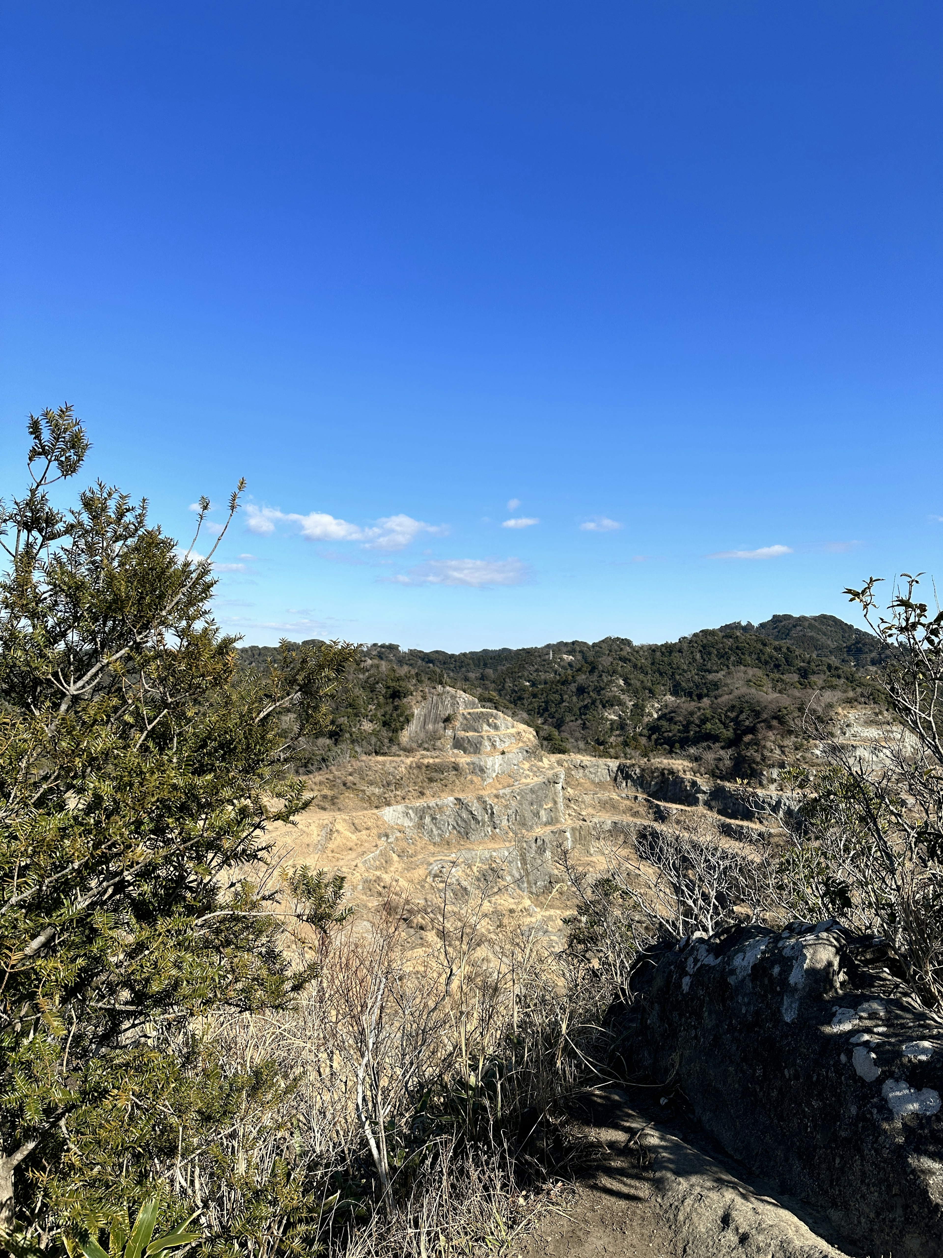 Dry landscape with shrubs under a blue sky