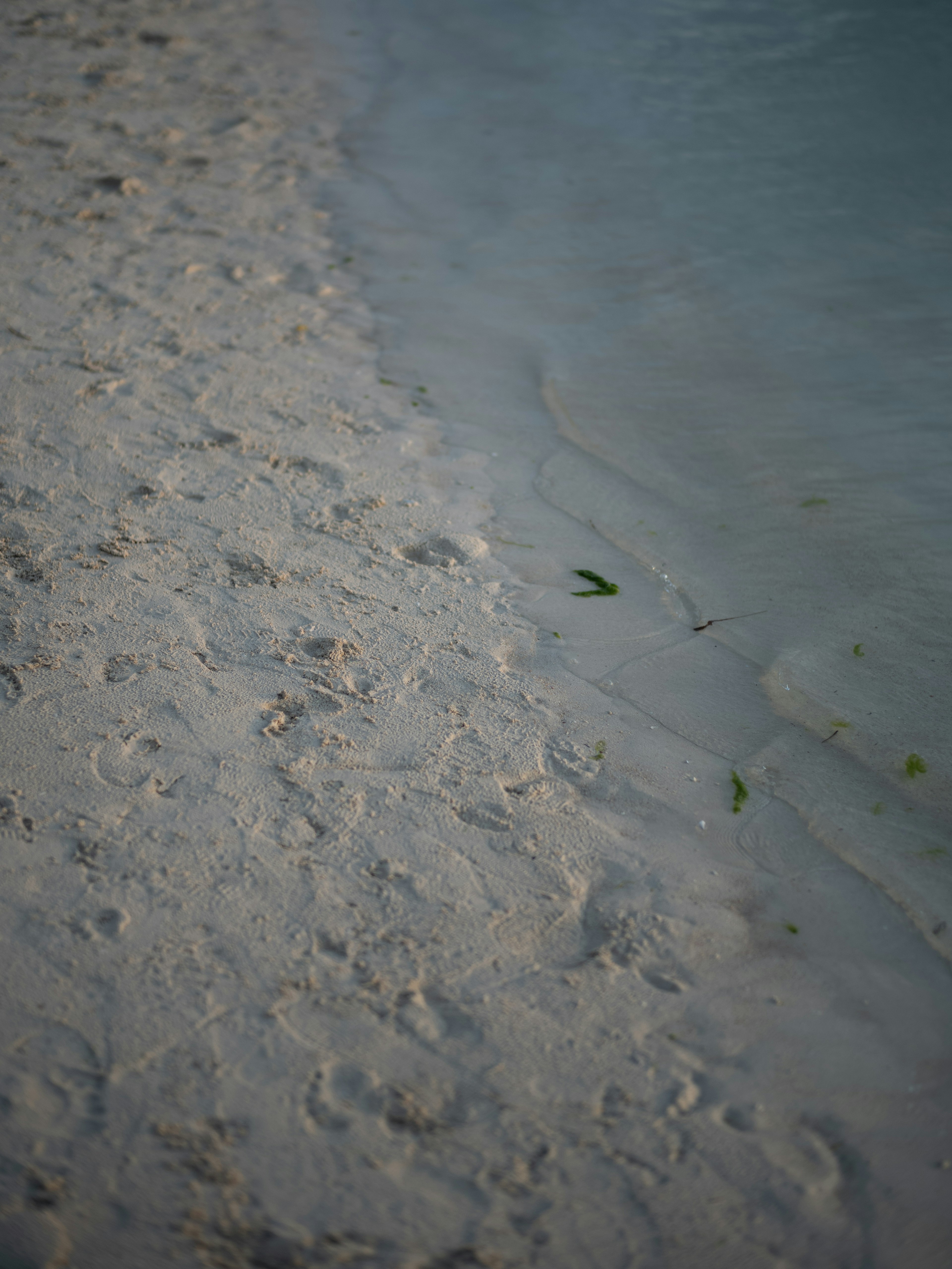 Paysage de mer claire et de plage de sable blanc