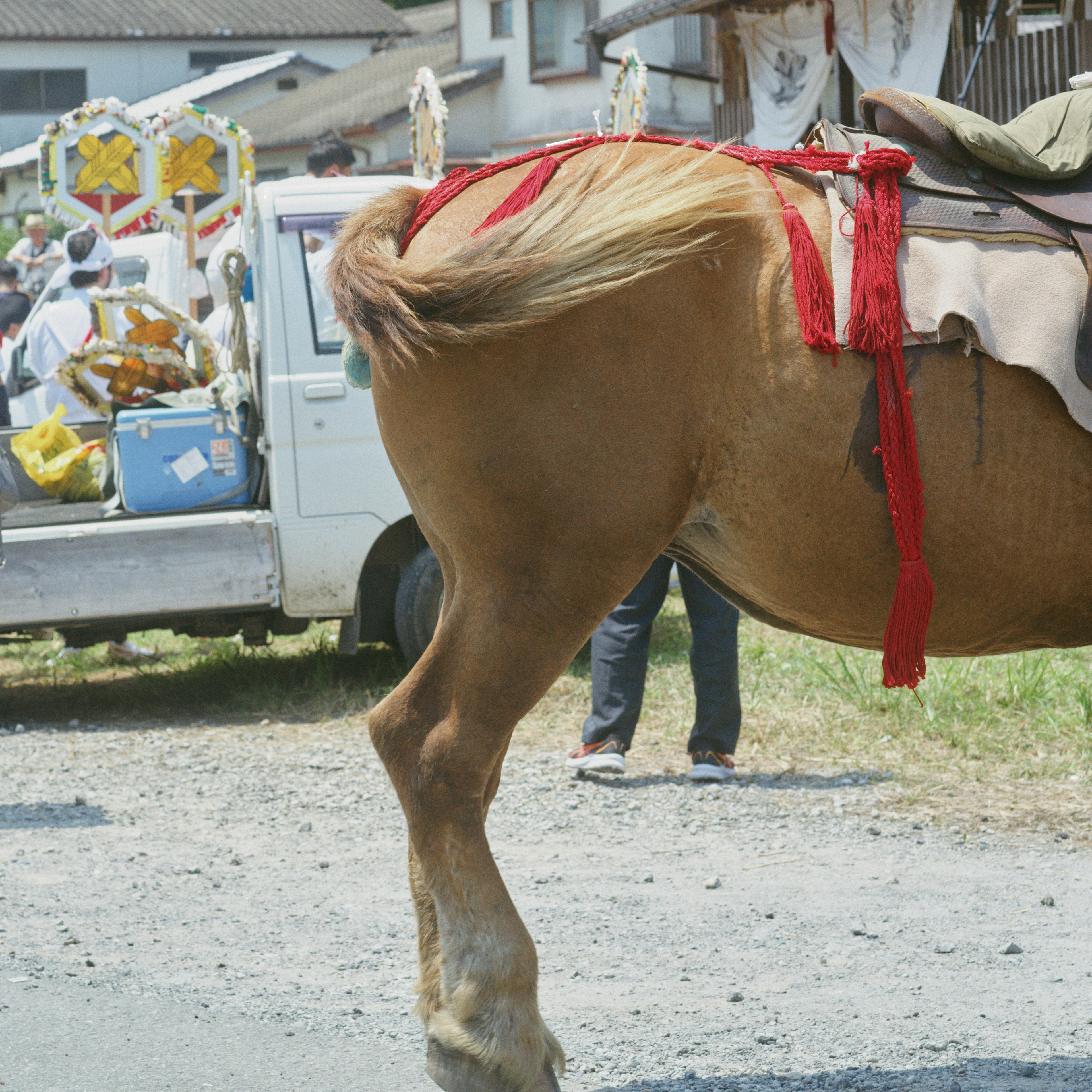 茶色の馬の後ろ姿に赤い飾りが付いている背景に人がいる