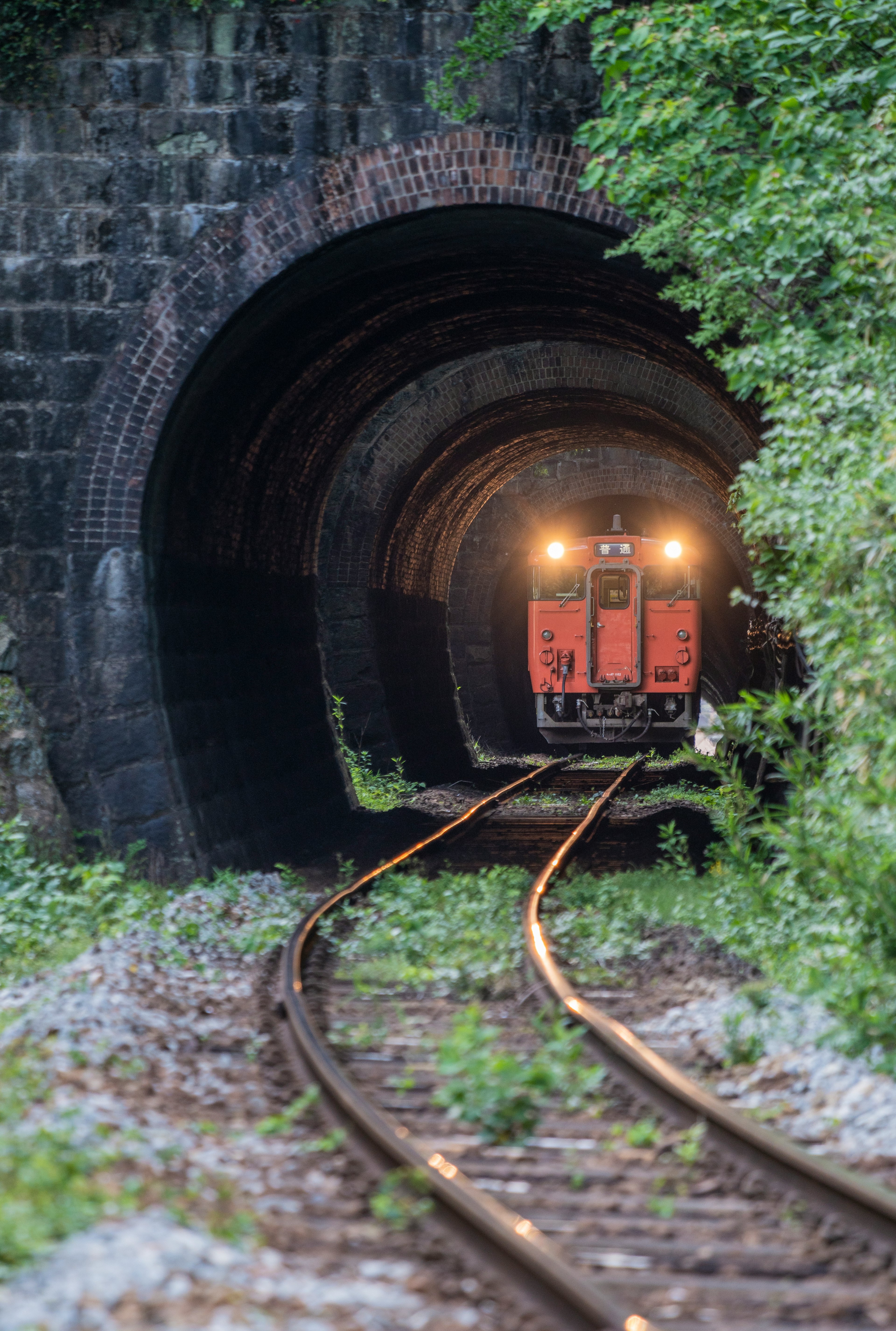 トンネルから出てくるオレンジ色の列車 緑に囲まれた風景