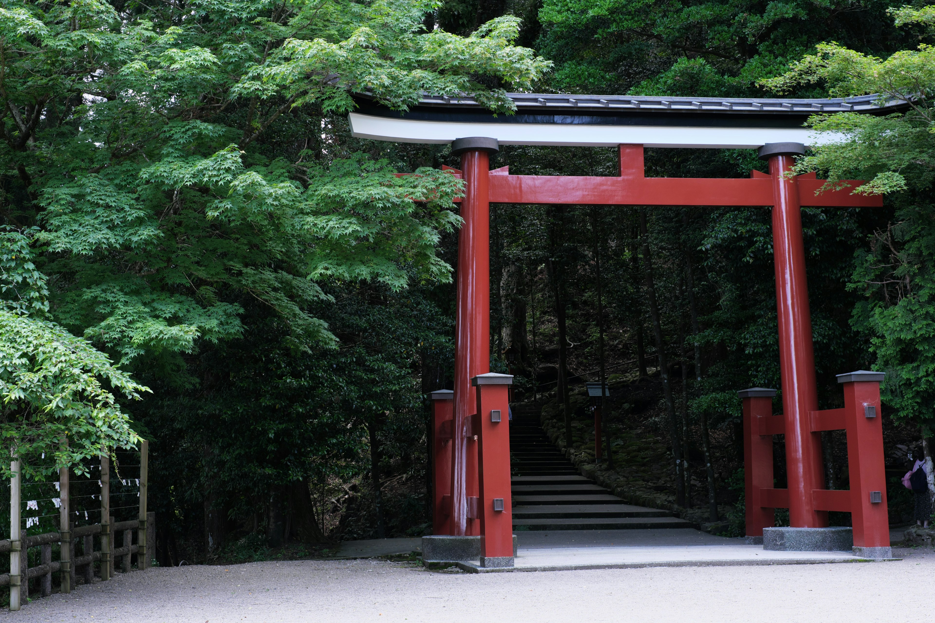 Roter Torii-Bogen umgeben von üppigen grünen Bäumen