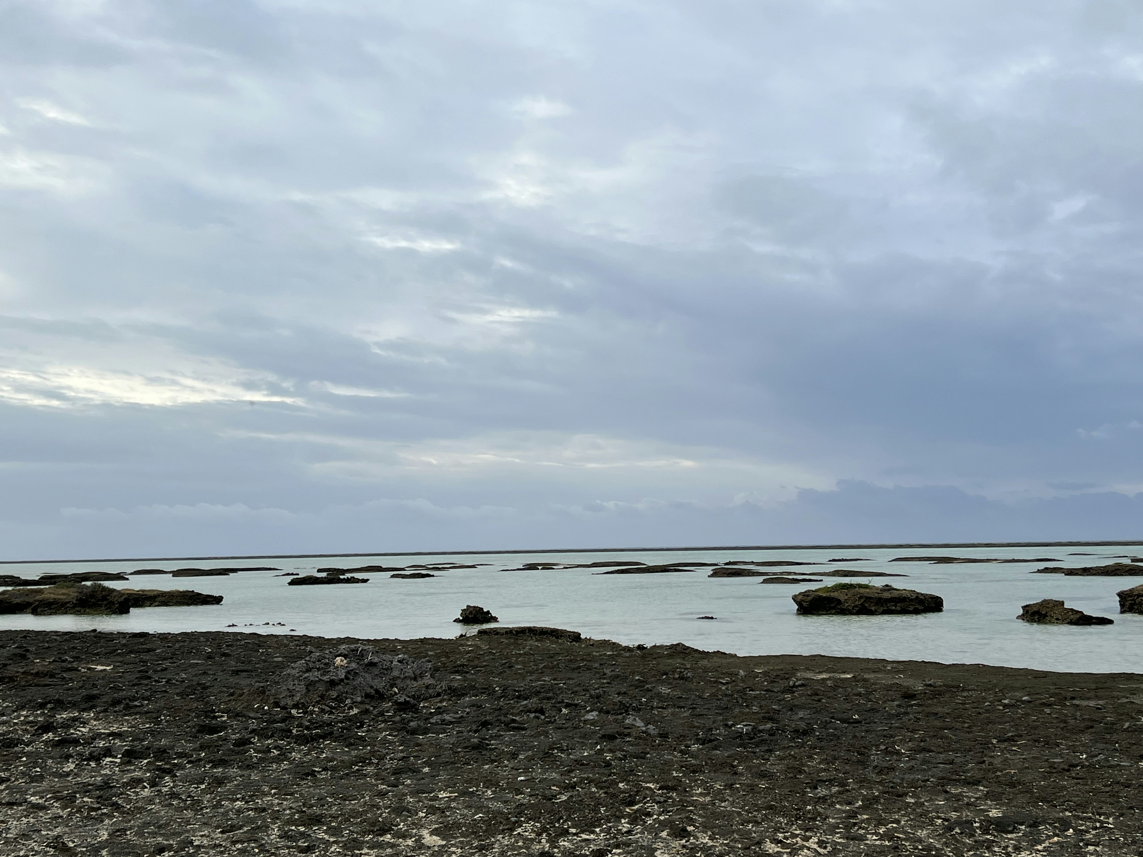 穏やかな海と岩が広がる風景