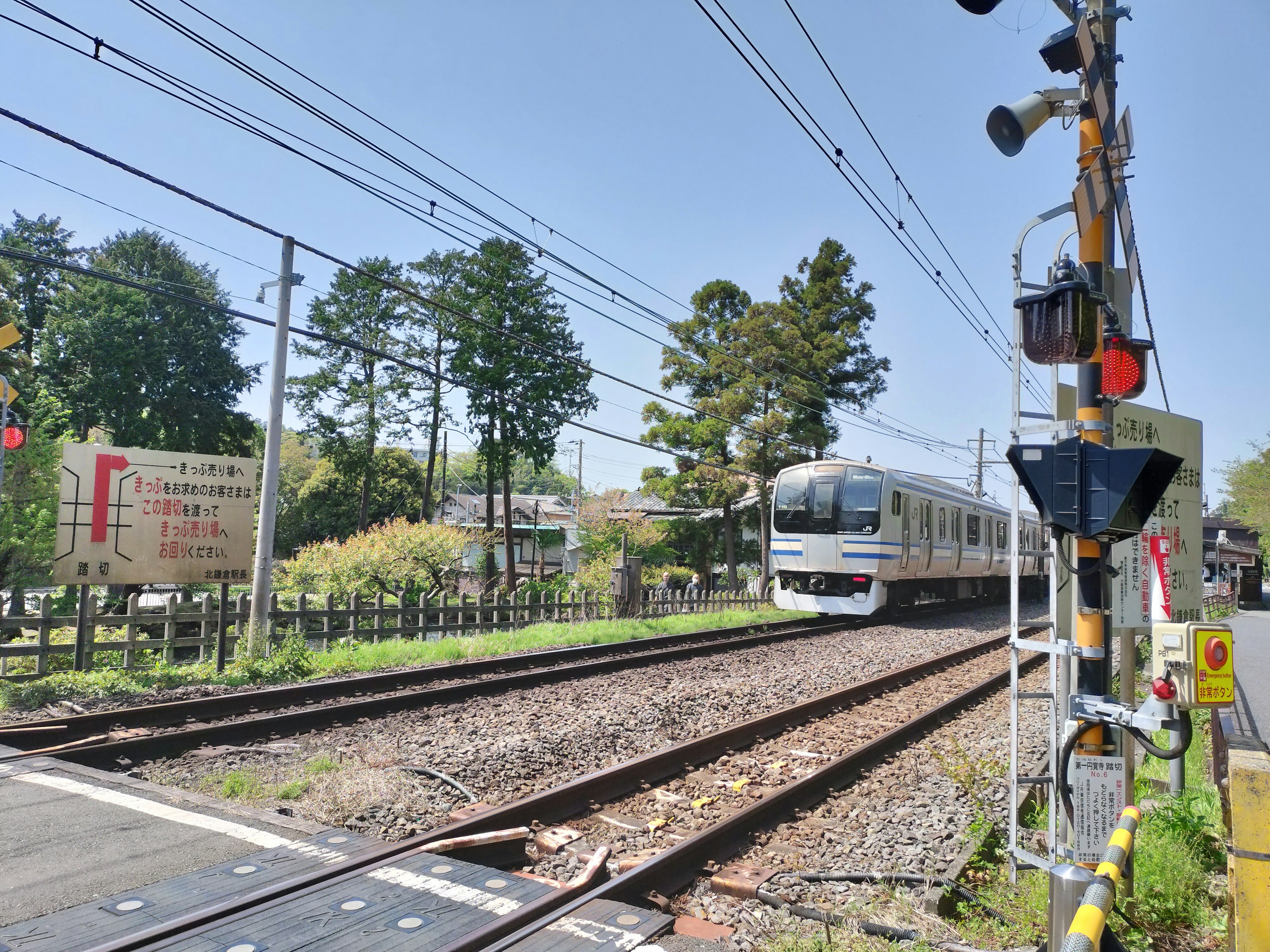 Train passing through a sunny landscape with trees