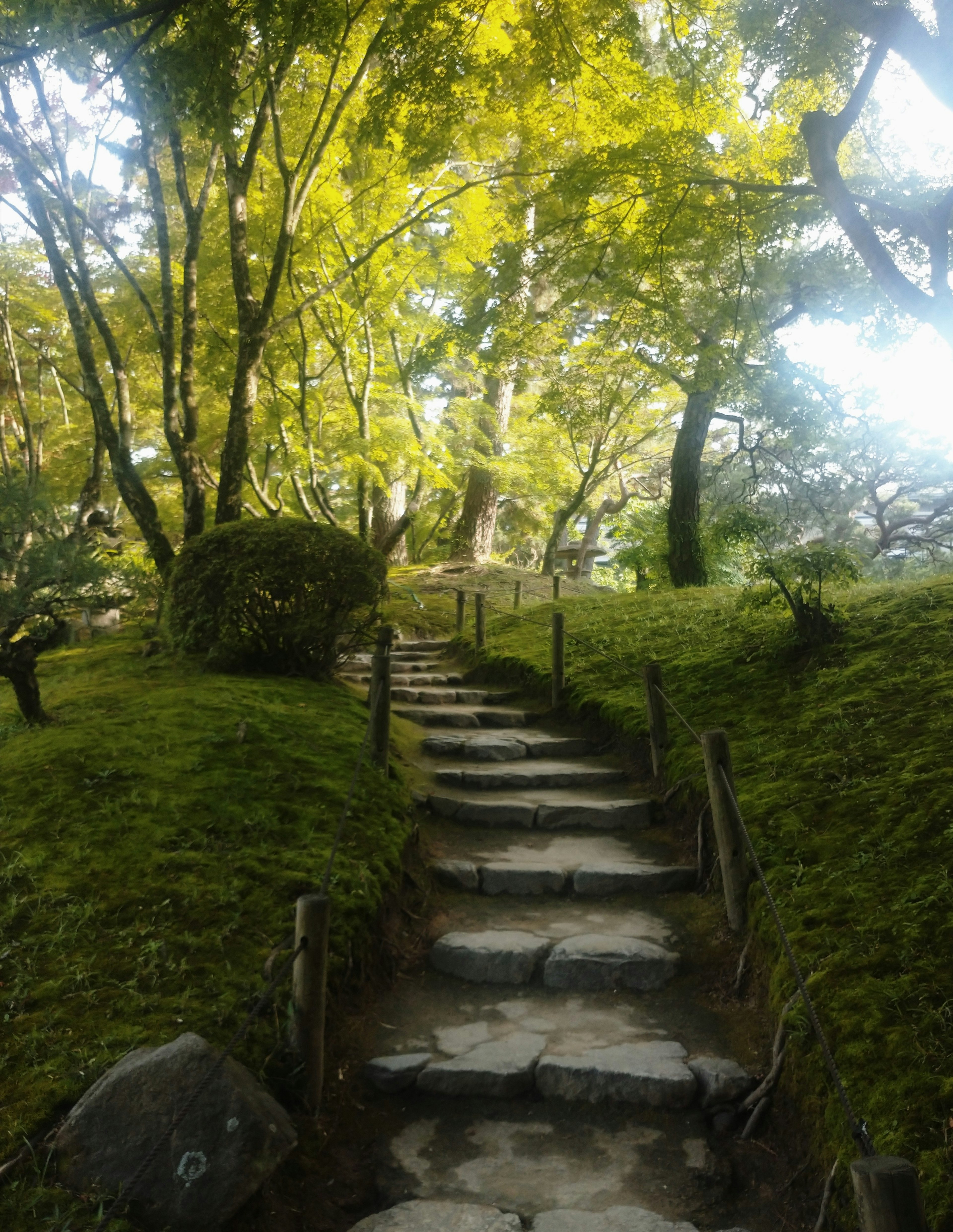 緑の木々に囲まれた石の階段が続く静かな小道