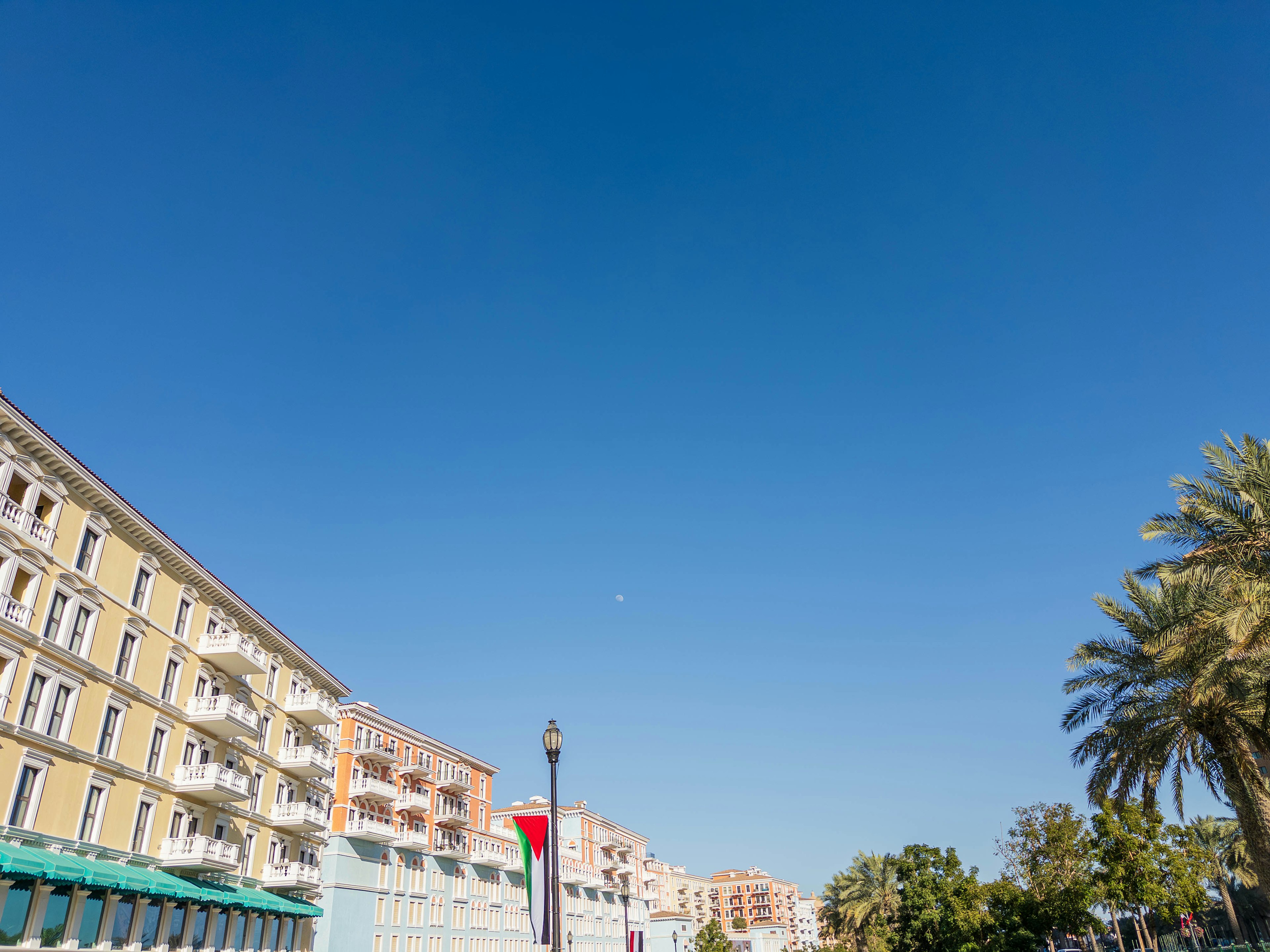 A landscape with buildings and palm trees under a clear blue sky