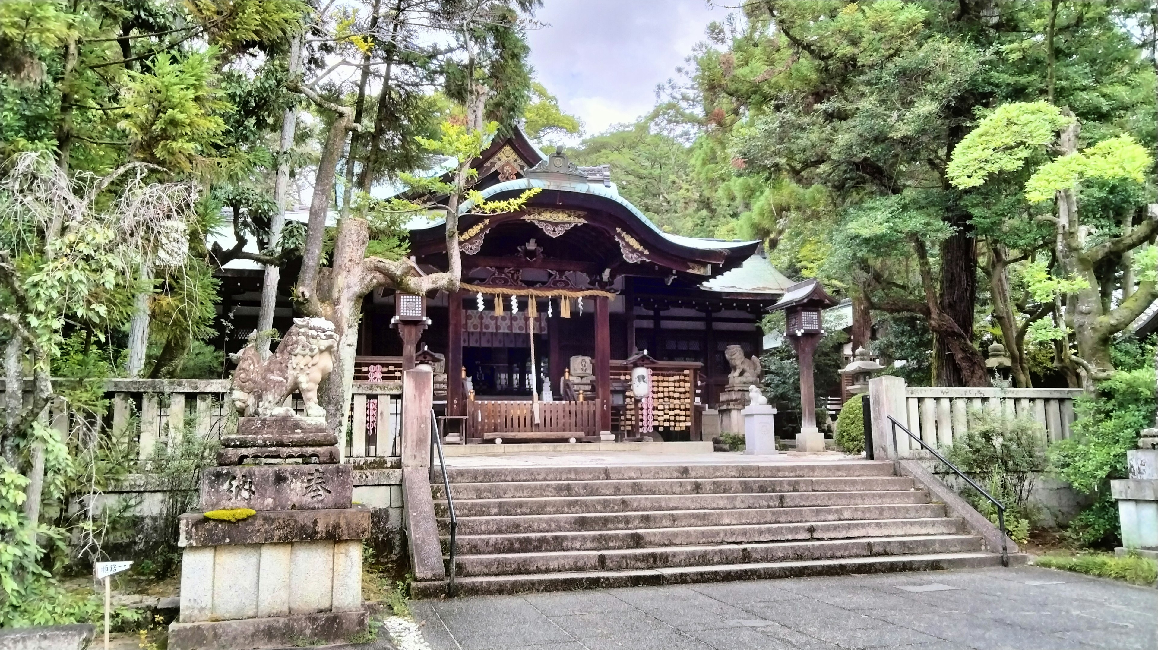 一個被郁郁蔥蔥的綠色環繞的傳統神社建築和階梯