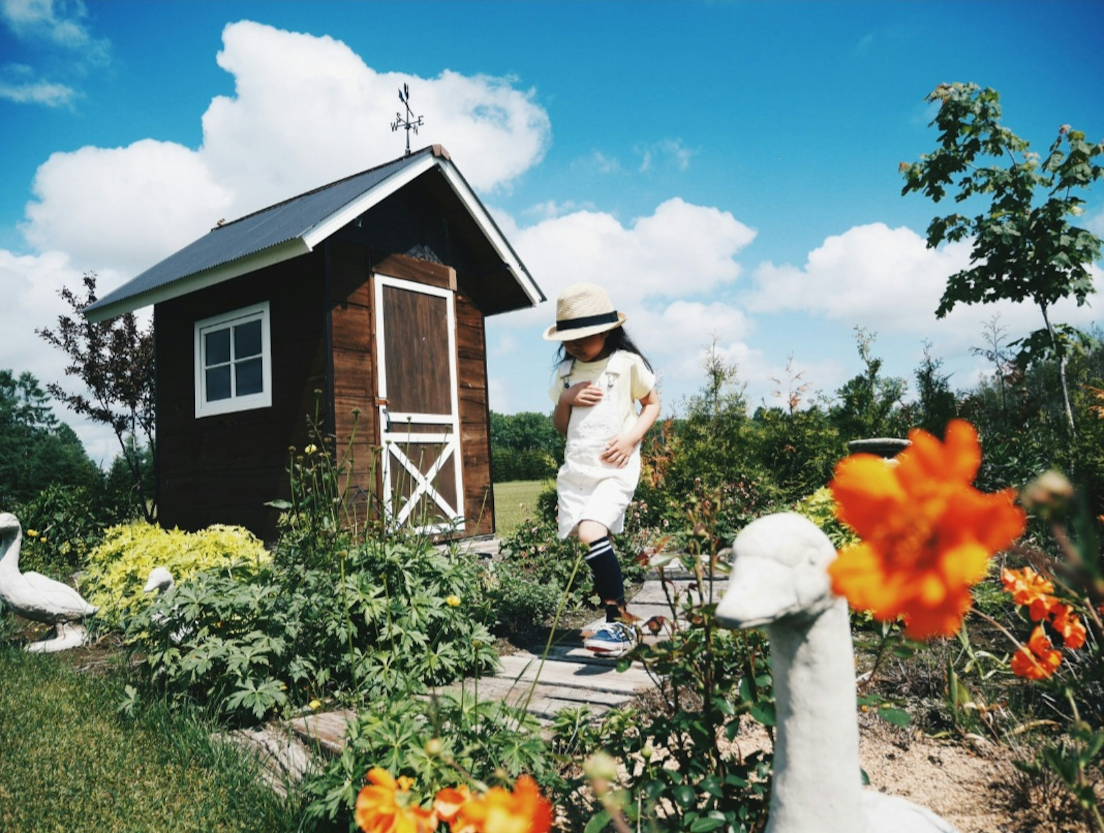 青空の下で小屋の前を歩く女性と色とりどりの花が咲く庭