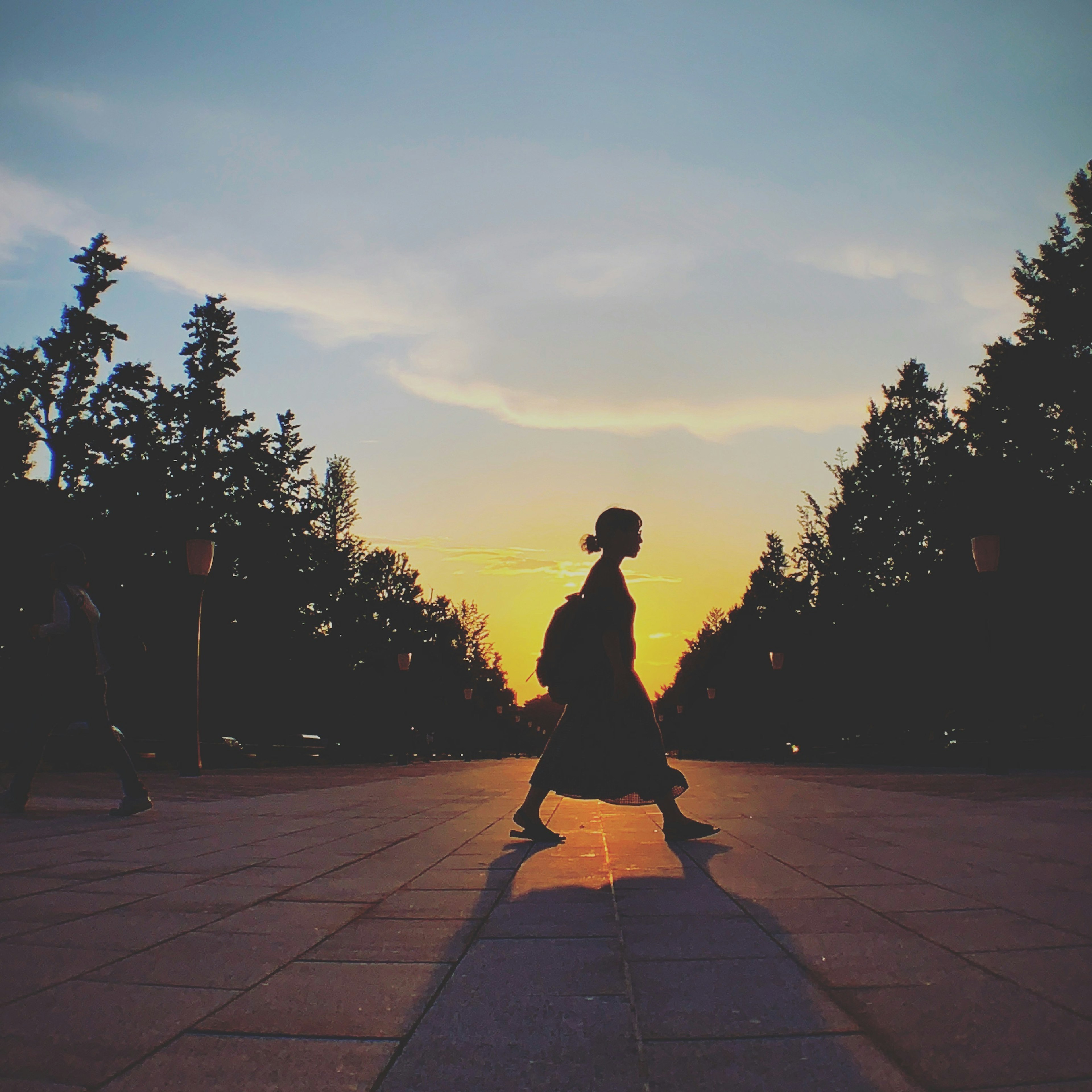 Silhouette einer Person, die gegen den Sonnenuntergang mit Bäumen im Hintergrund geht