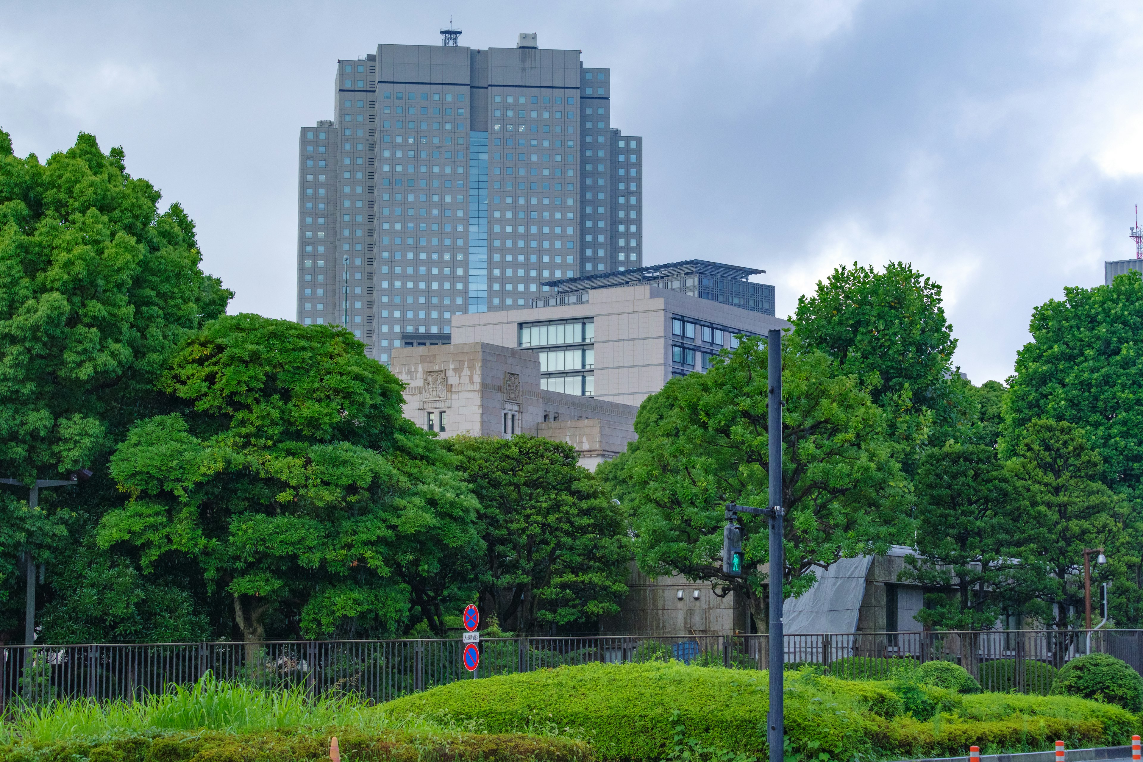 Taman rimbun dengan gedung tinggi di latar belakang