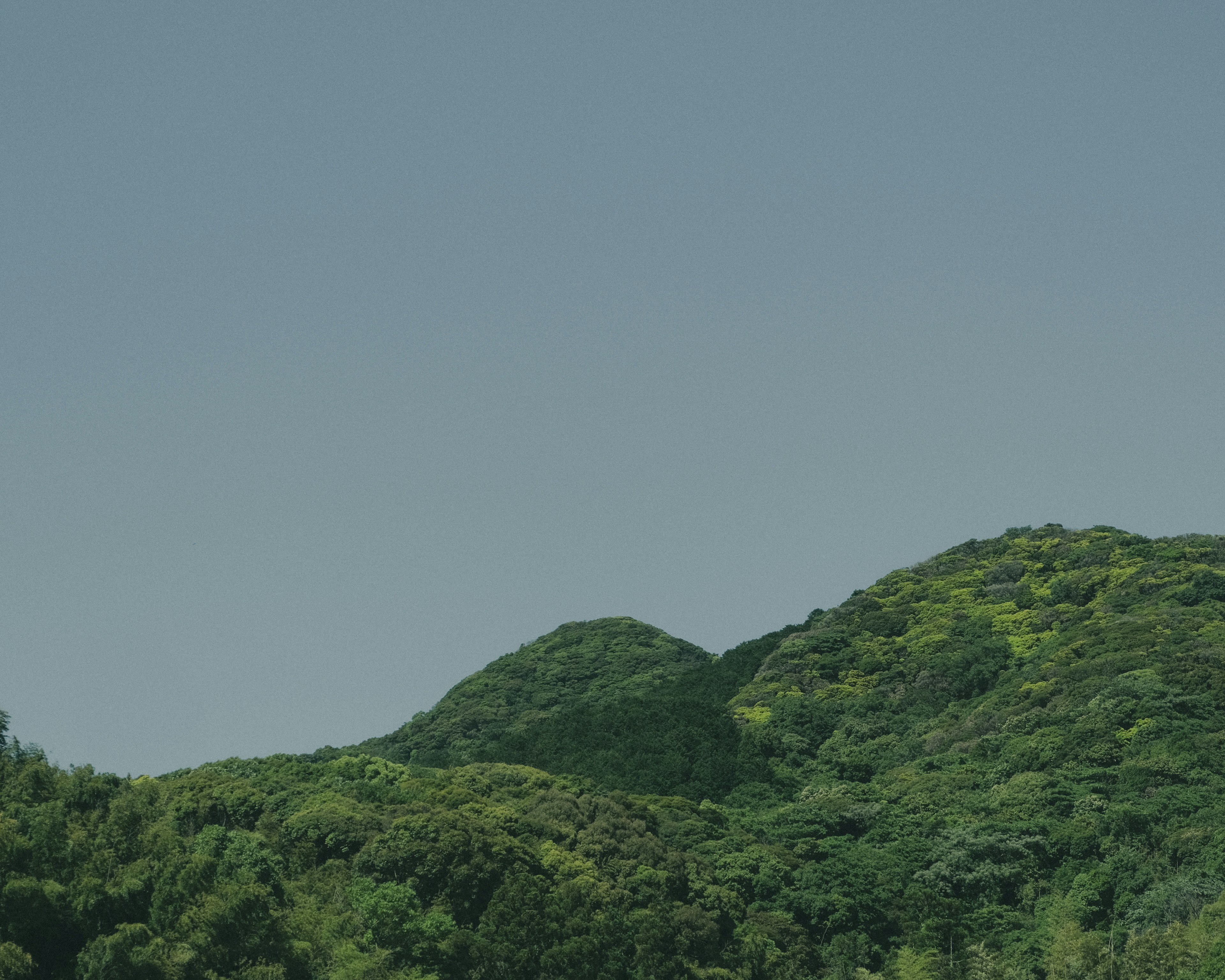 緑豊かな丘陵と青空の風景