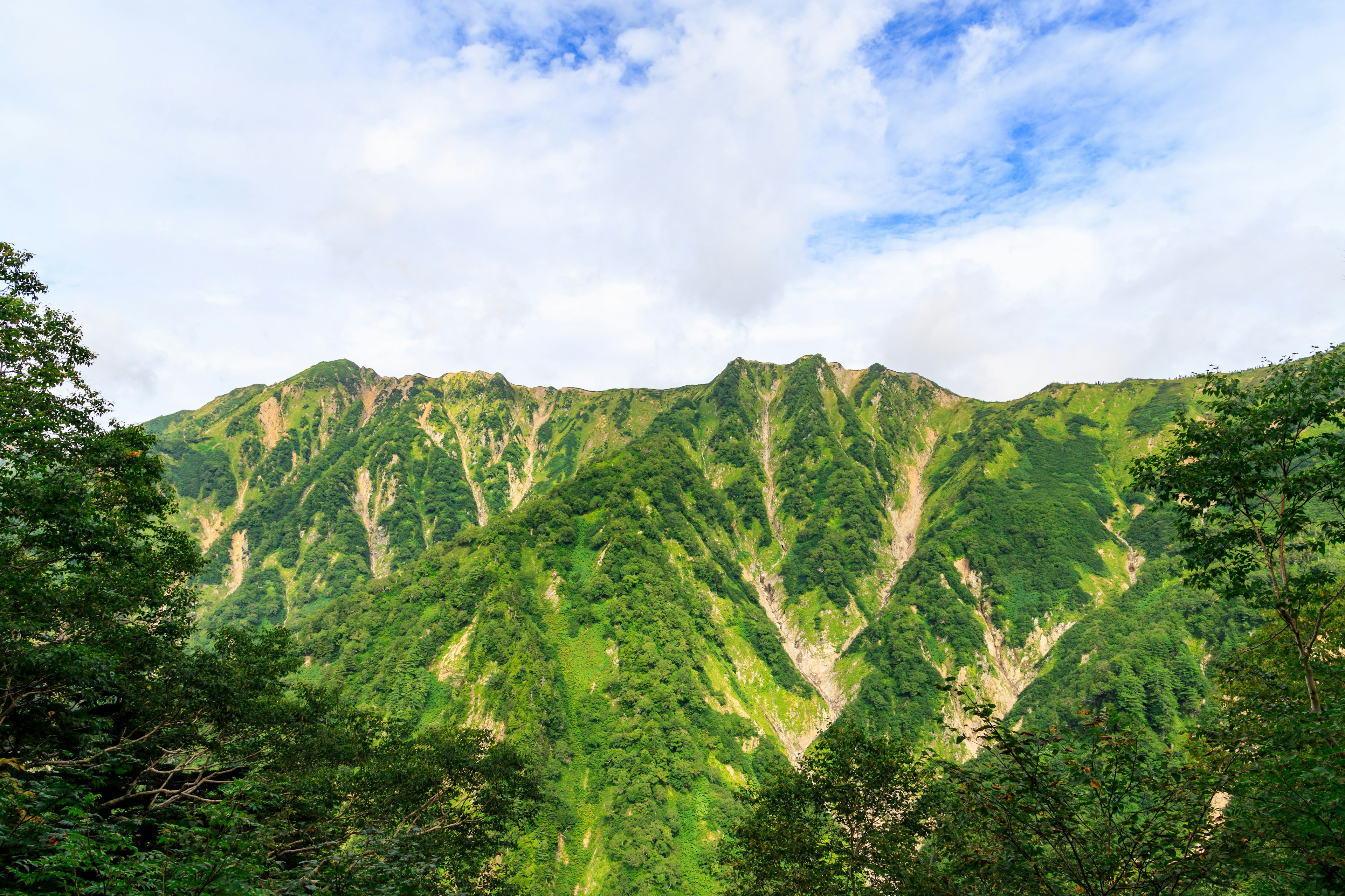 Gunung hijau subur di bawah langit biru