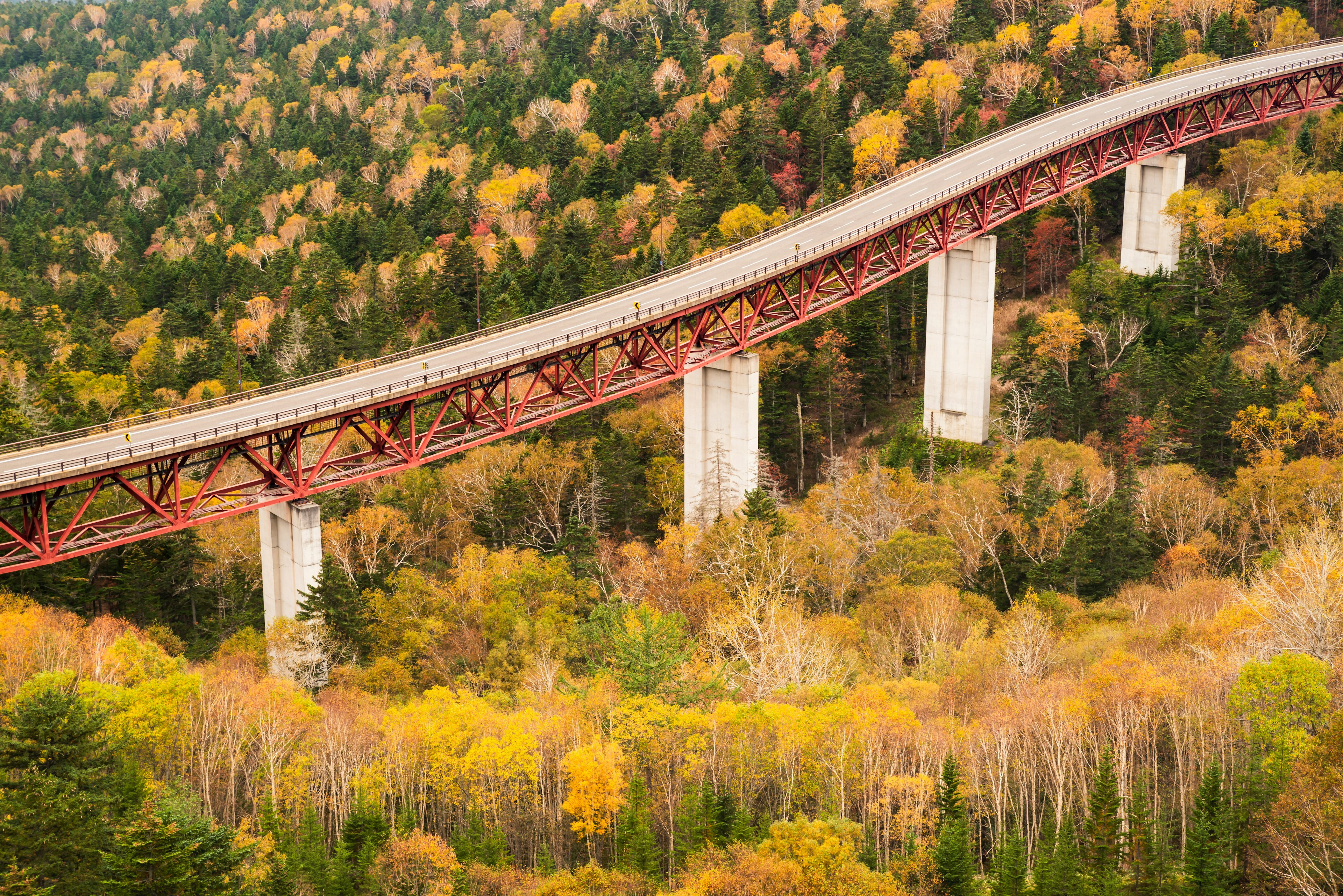 Jembatan merah melengkung di atas hutan musim gugur dengan dedaunan berwarna-warni