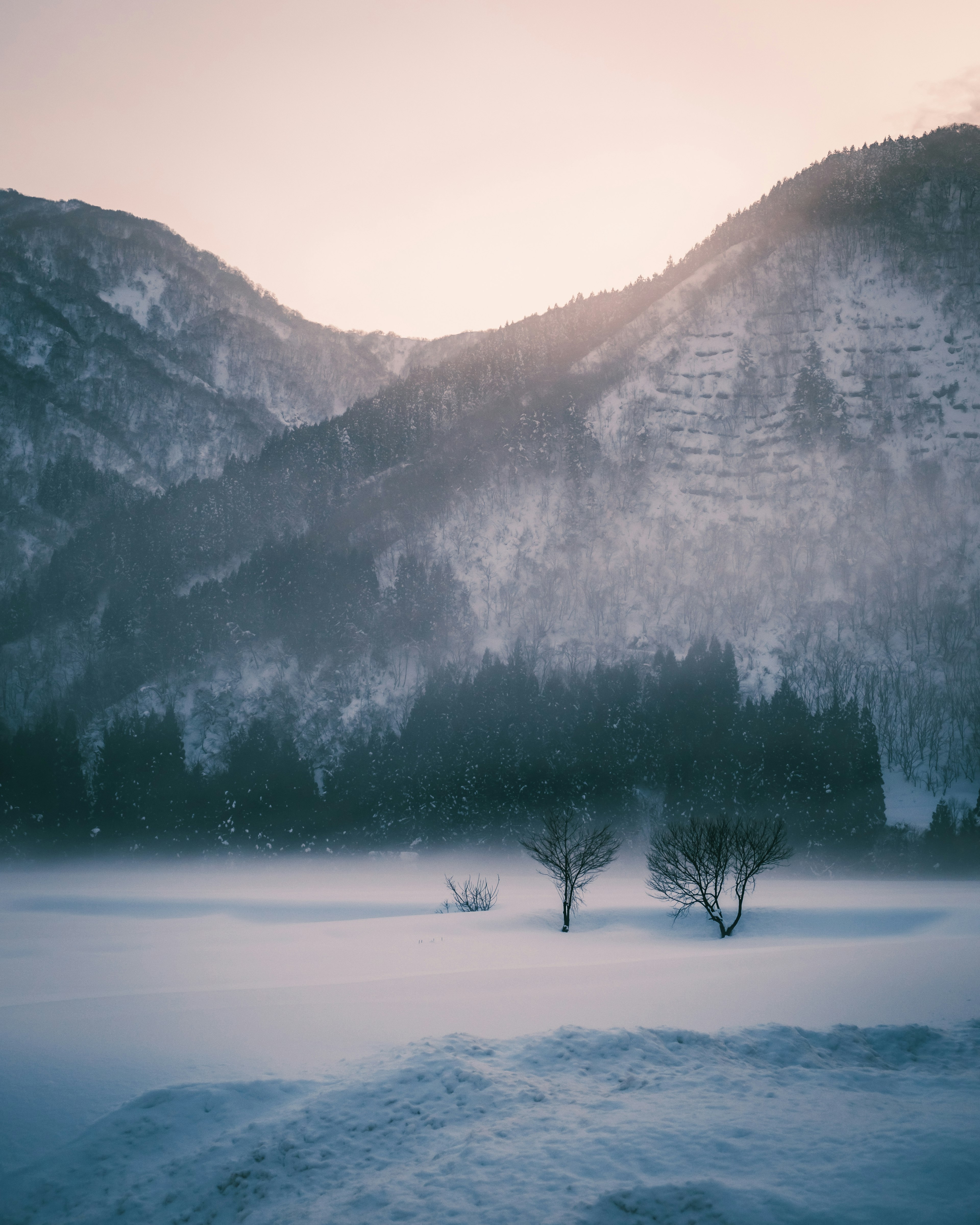 A serene winter landscape with snow-covered plains and distant mountains