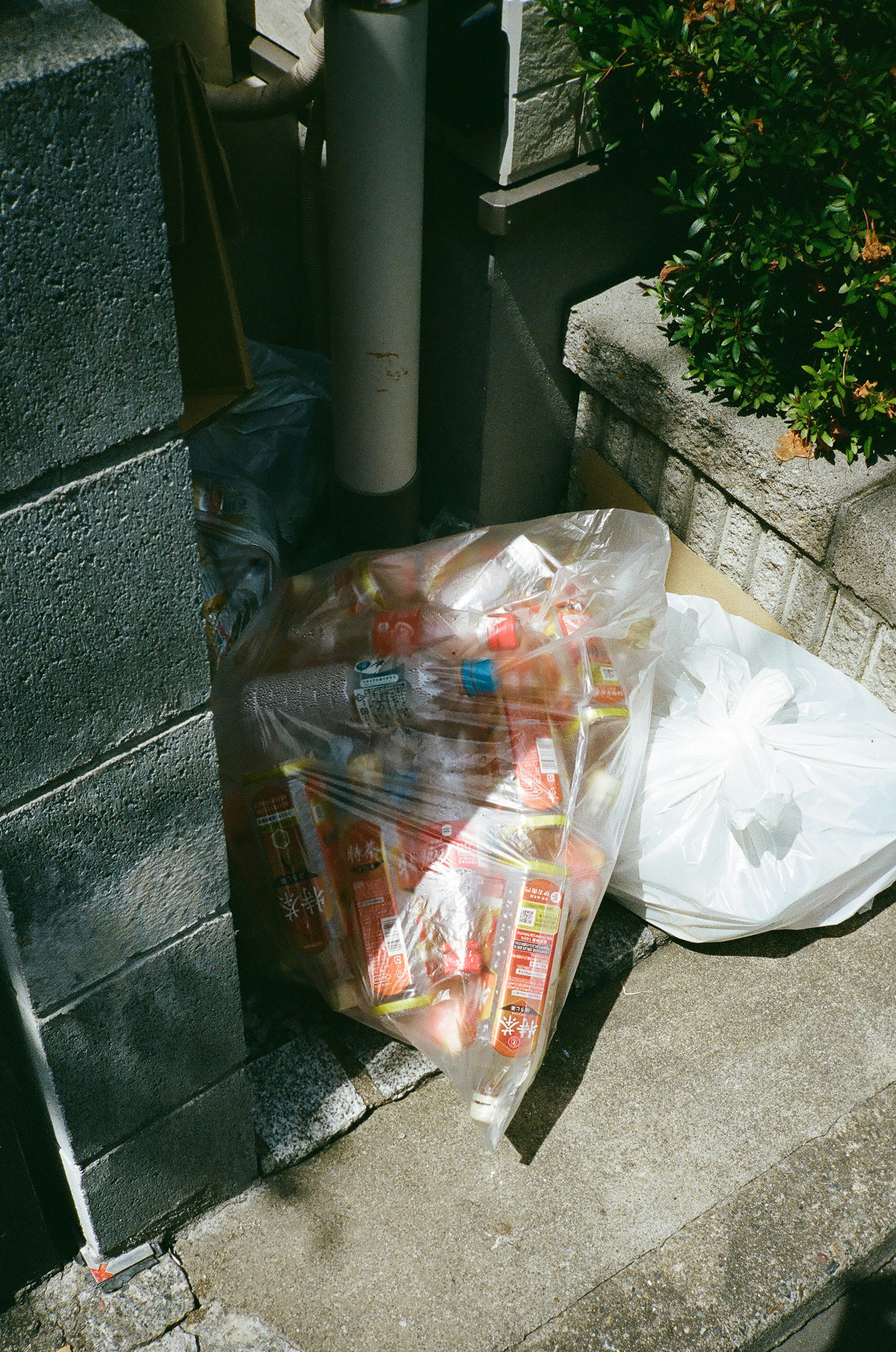 A scene with a bag of trash and nearby plants