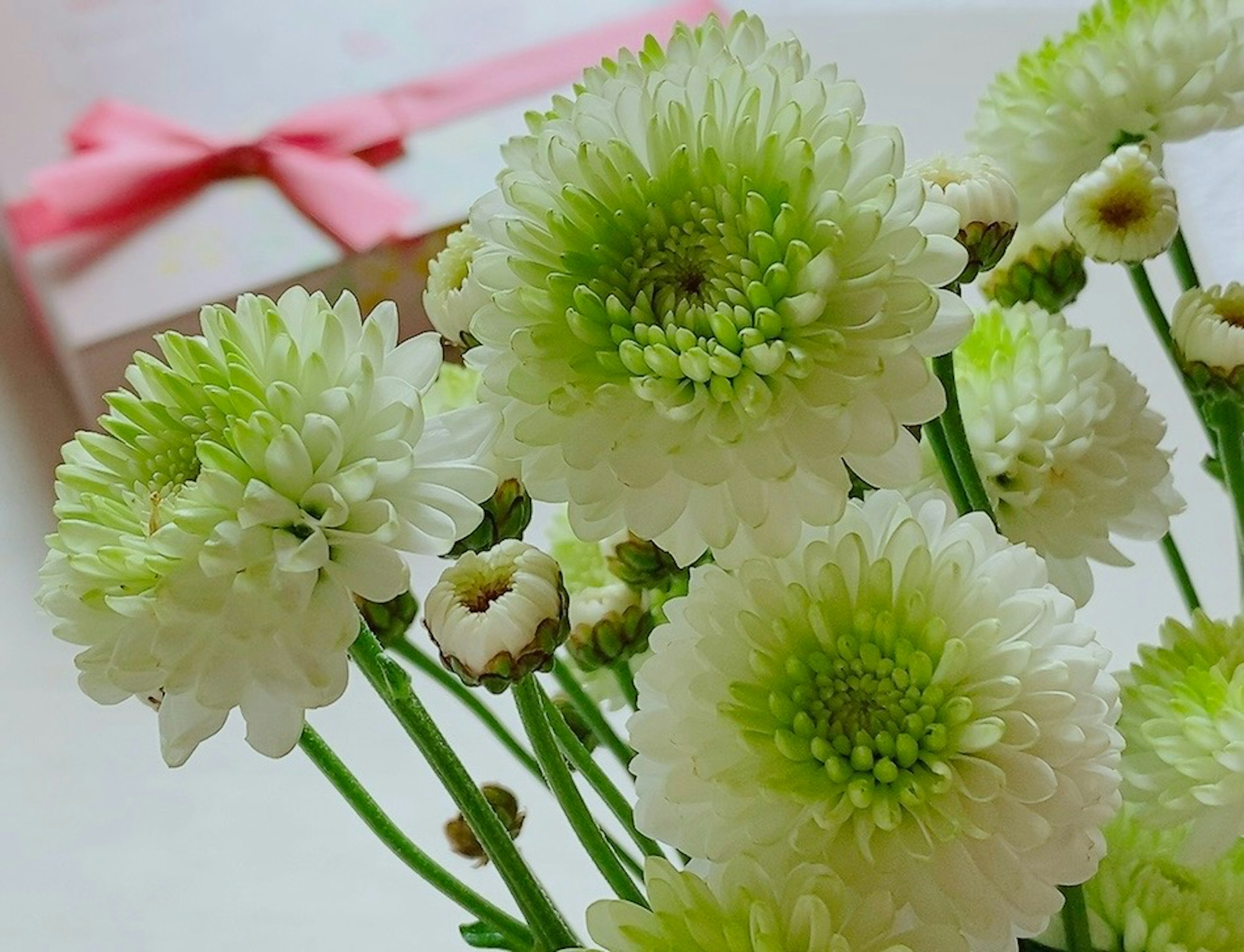 Bouquet di fiori bianchi e verdi con una scatola con nastro rosa