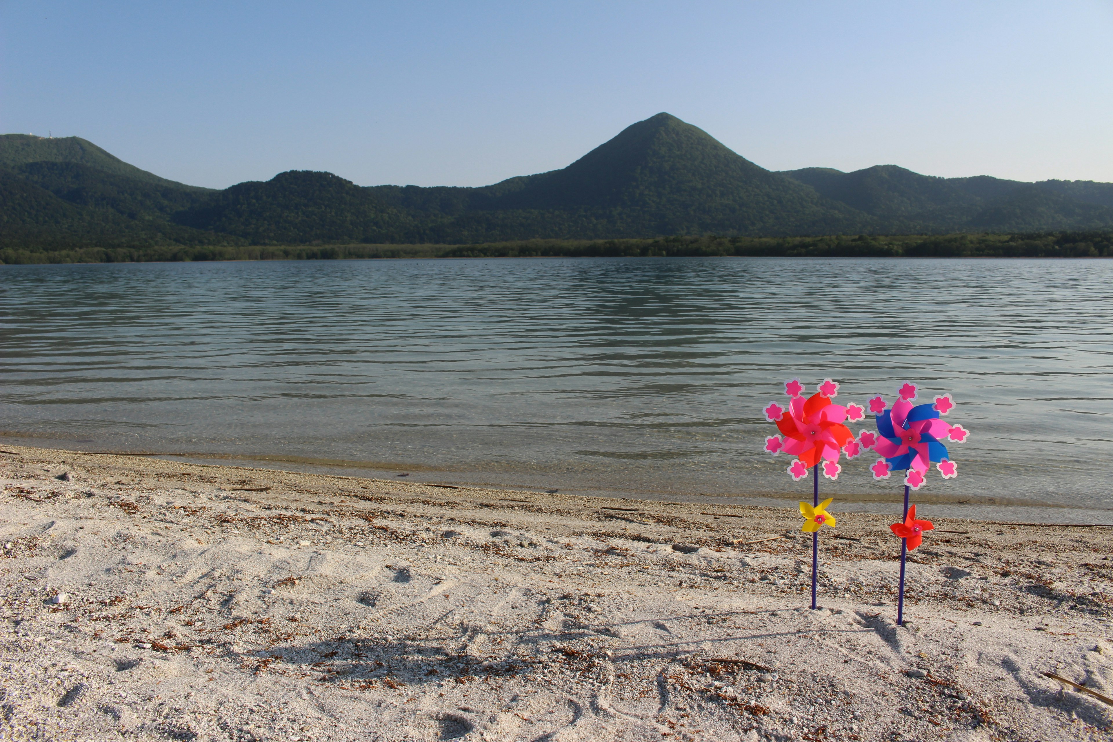 Colorful pinwheels on the beach with beautiful mountains in the background