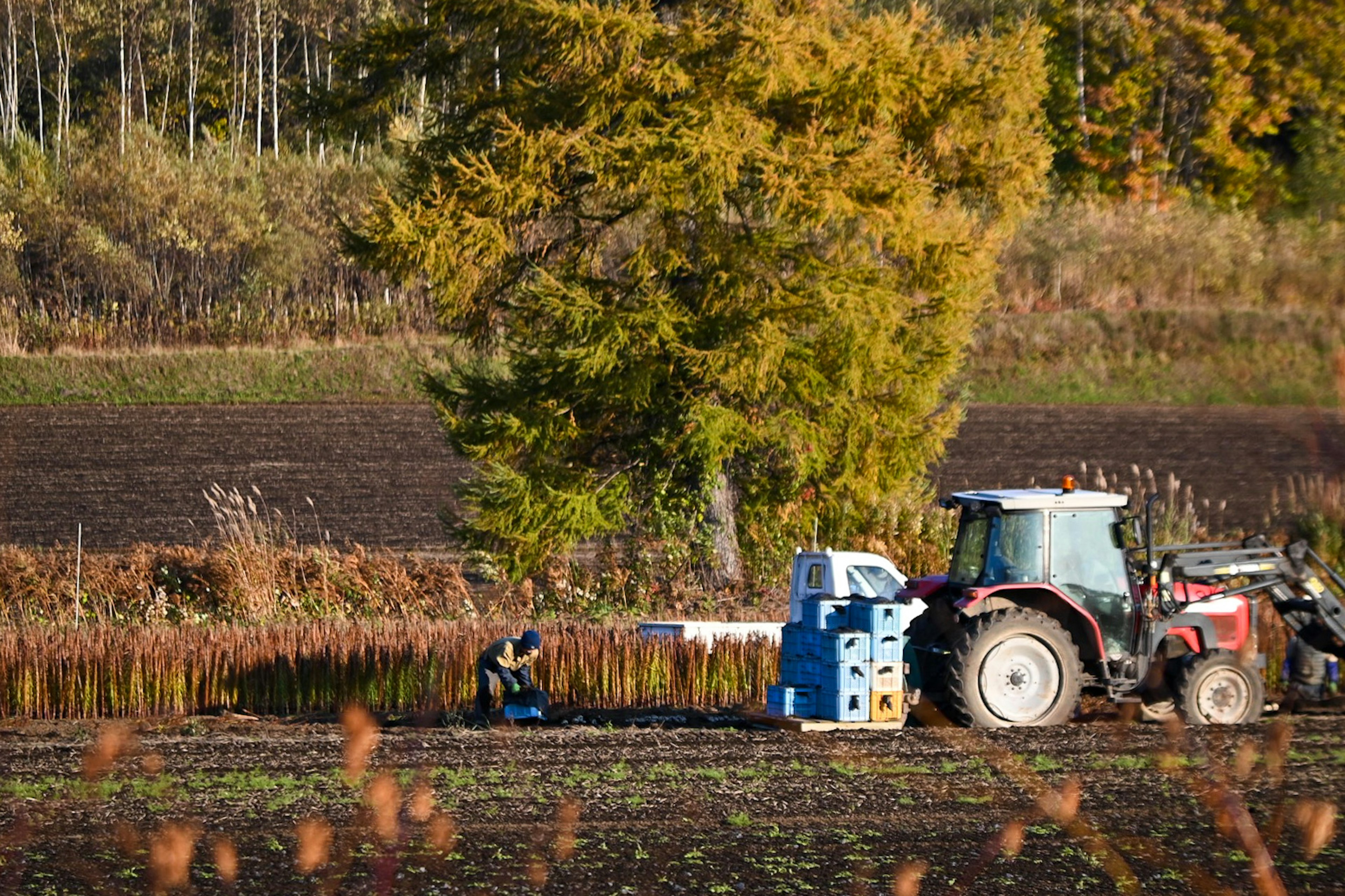 Szene eines Traktors und eines Arbeiters auf einem Bauernhof