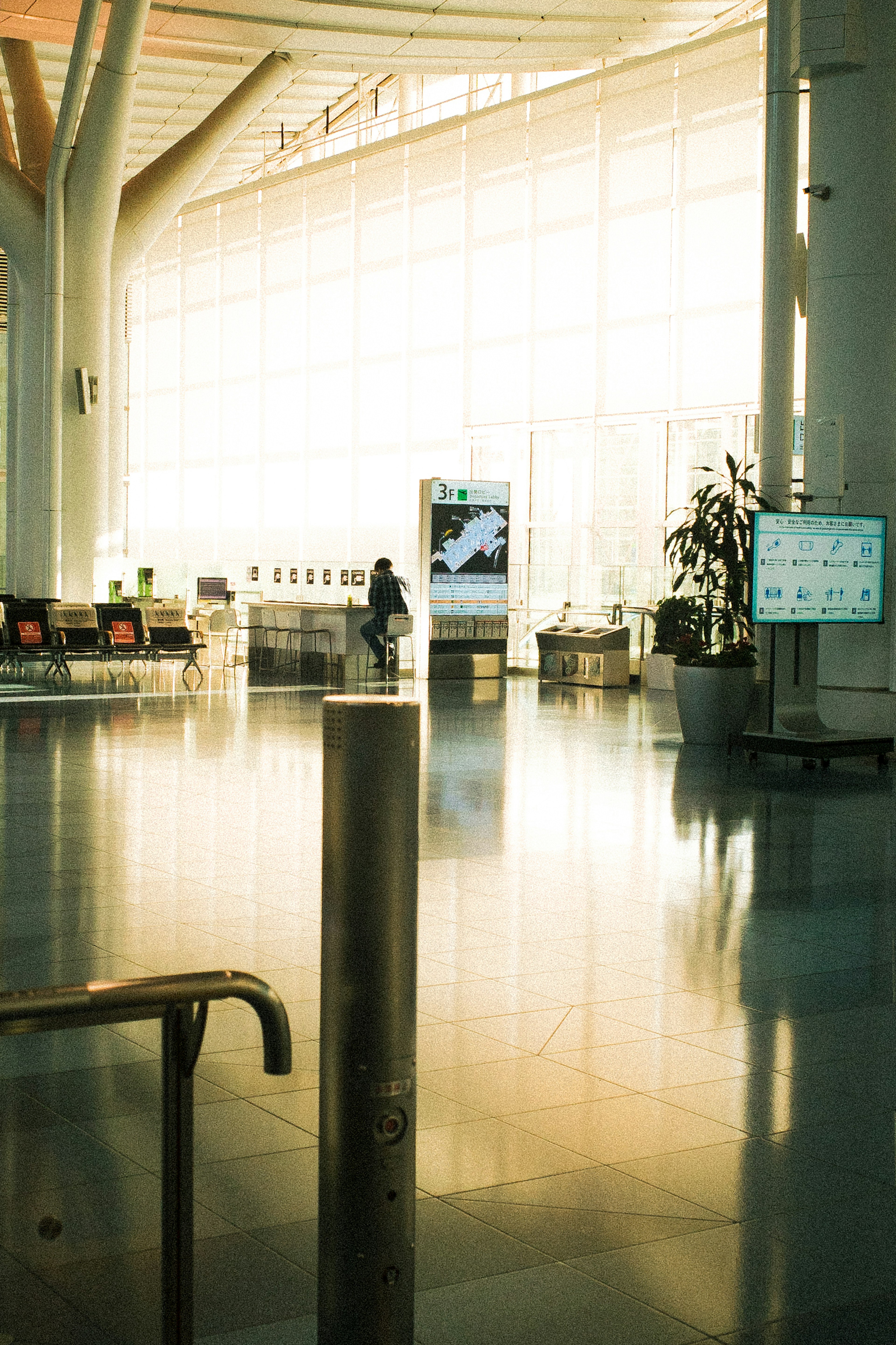 明るい空間の空港ロビーにある金属のポールと植物