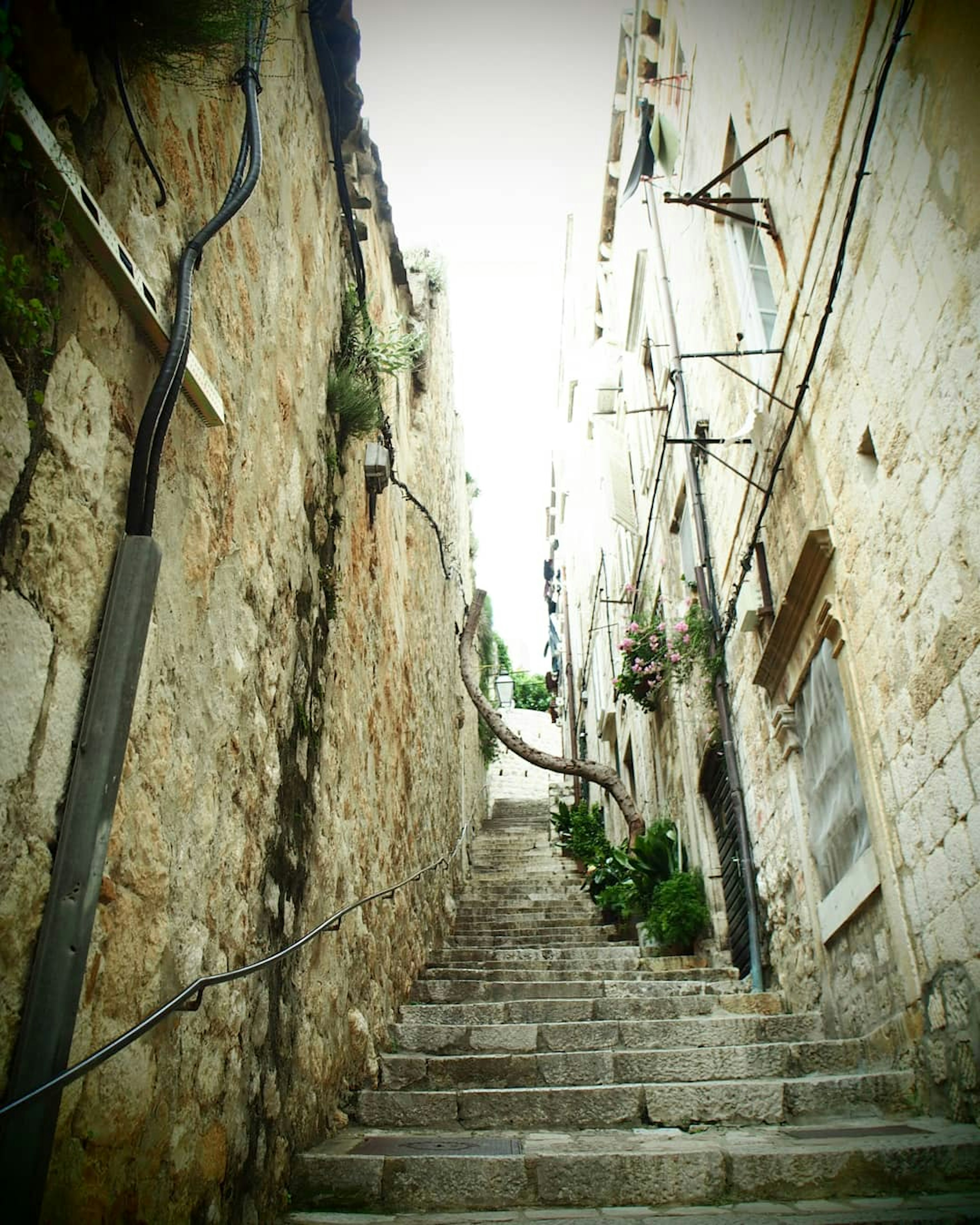 Allée étroite avec des marches en pierre menant vers le haut Plantes poussant le long des murs et des bâtiments