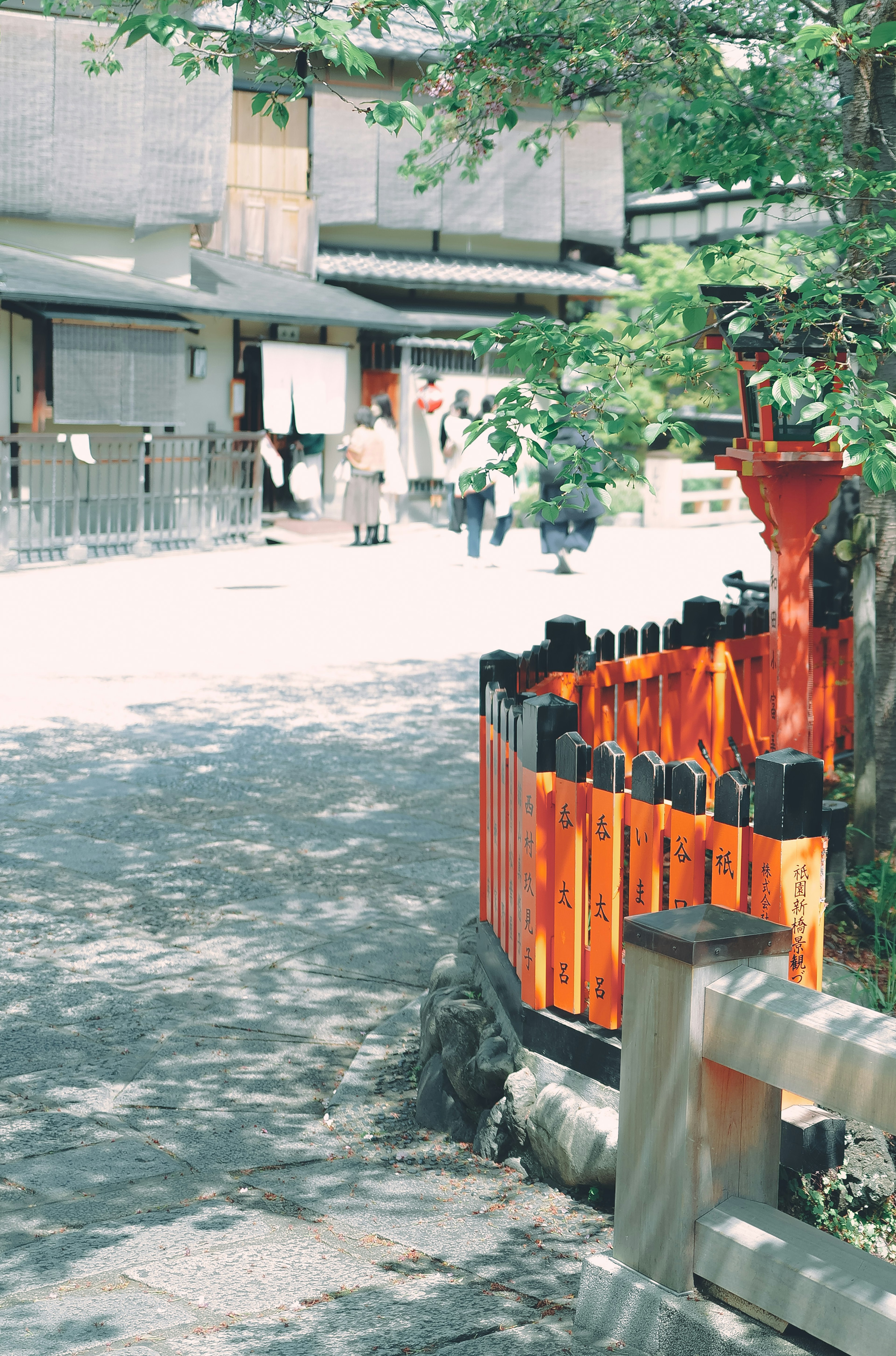 Vue pittoresque avec une clôture orange le long d'une rue lumineuse et des arbres verts