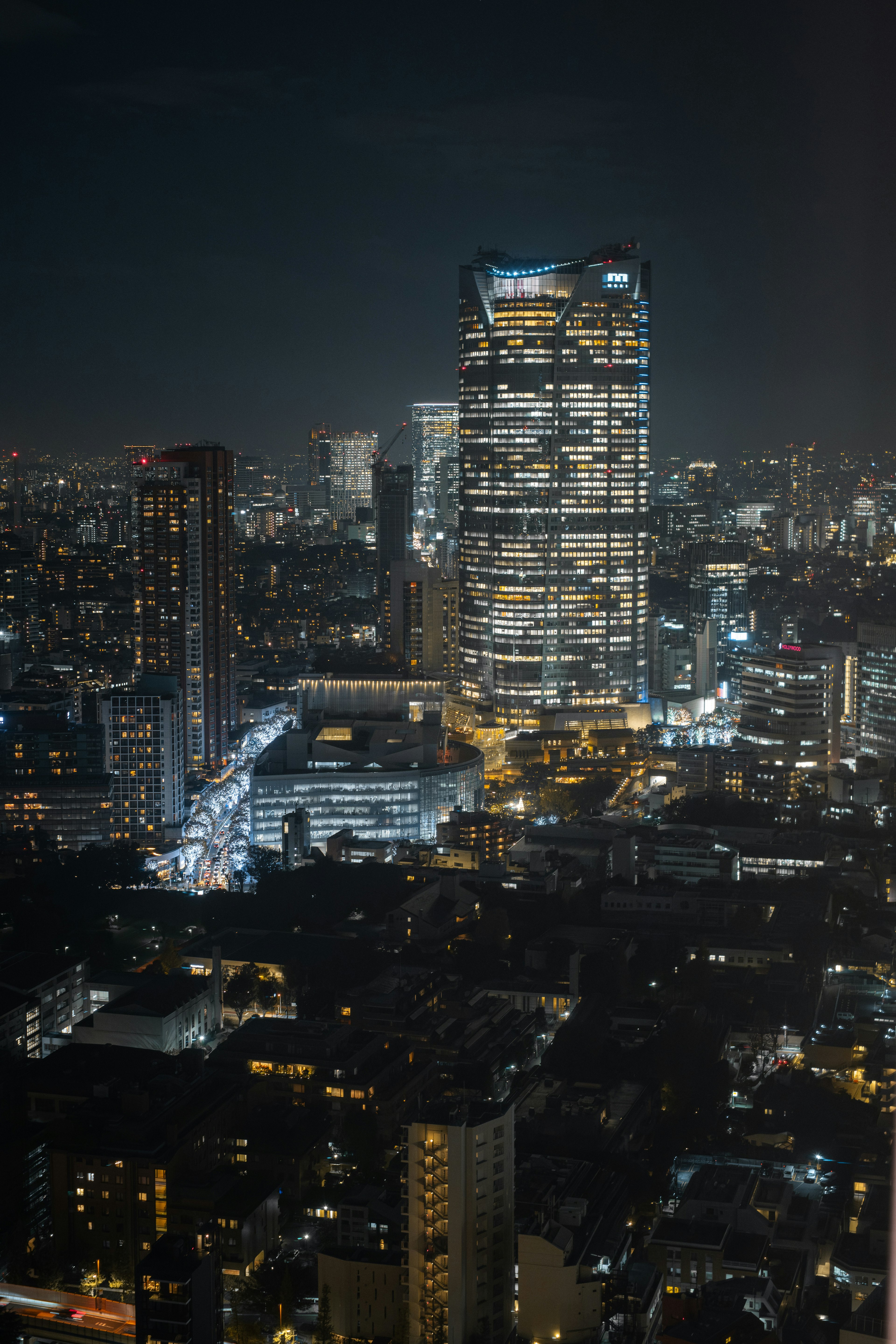 Pemandangan kota malam hari bangunan yang diterangi dengan Menara Tokyo terlihat