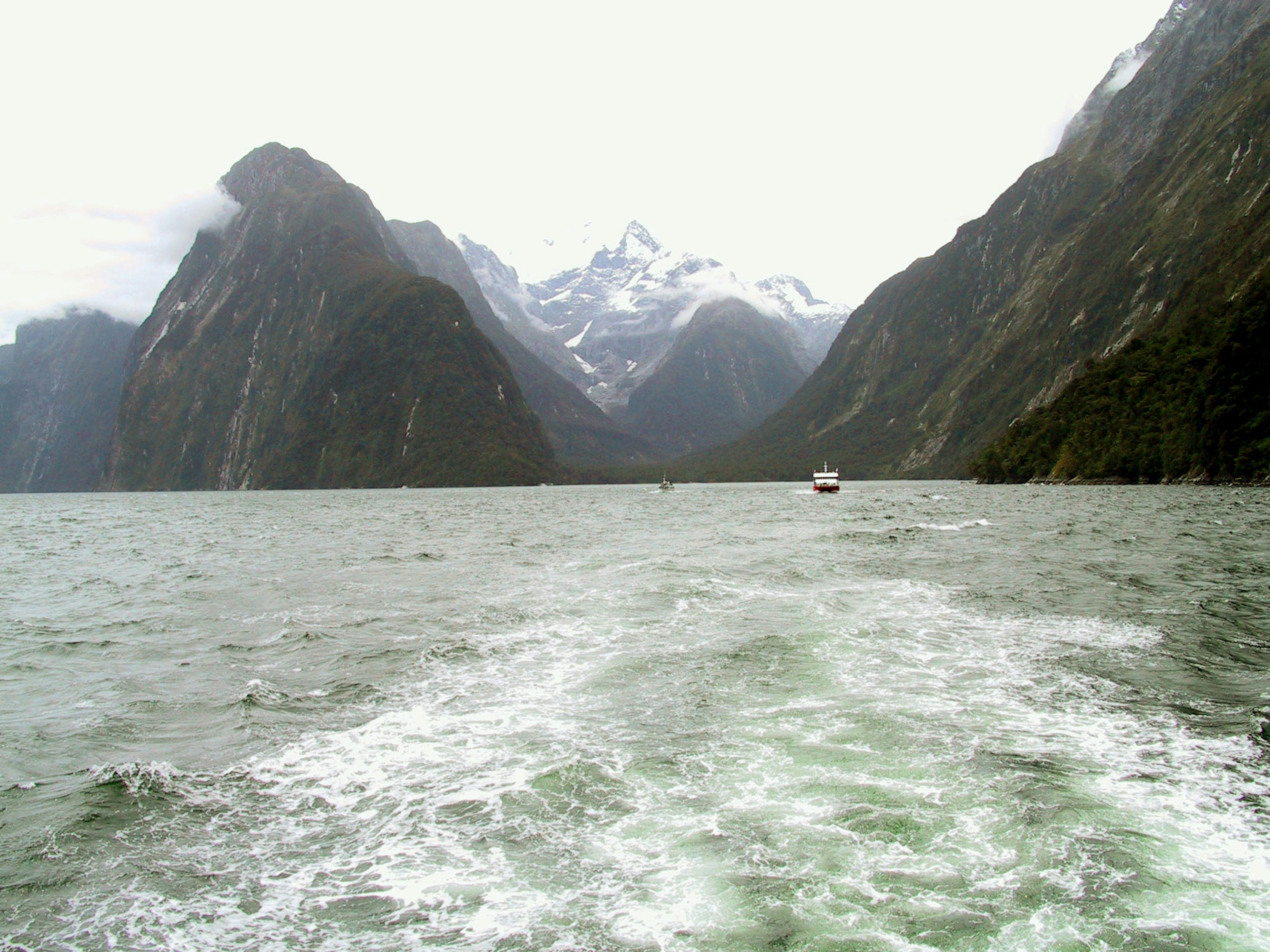 View from a boat in Milford Sound featuring mountains and snow with calm waters