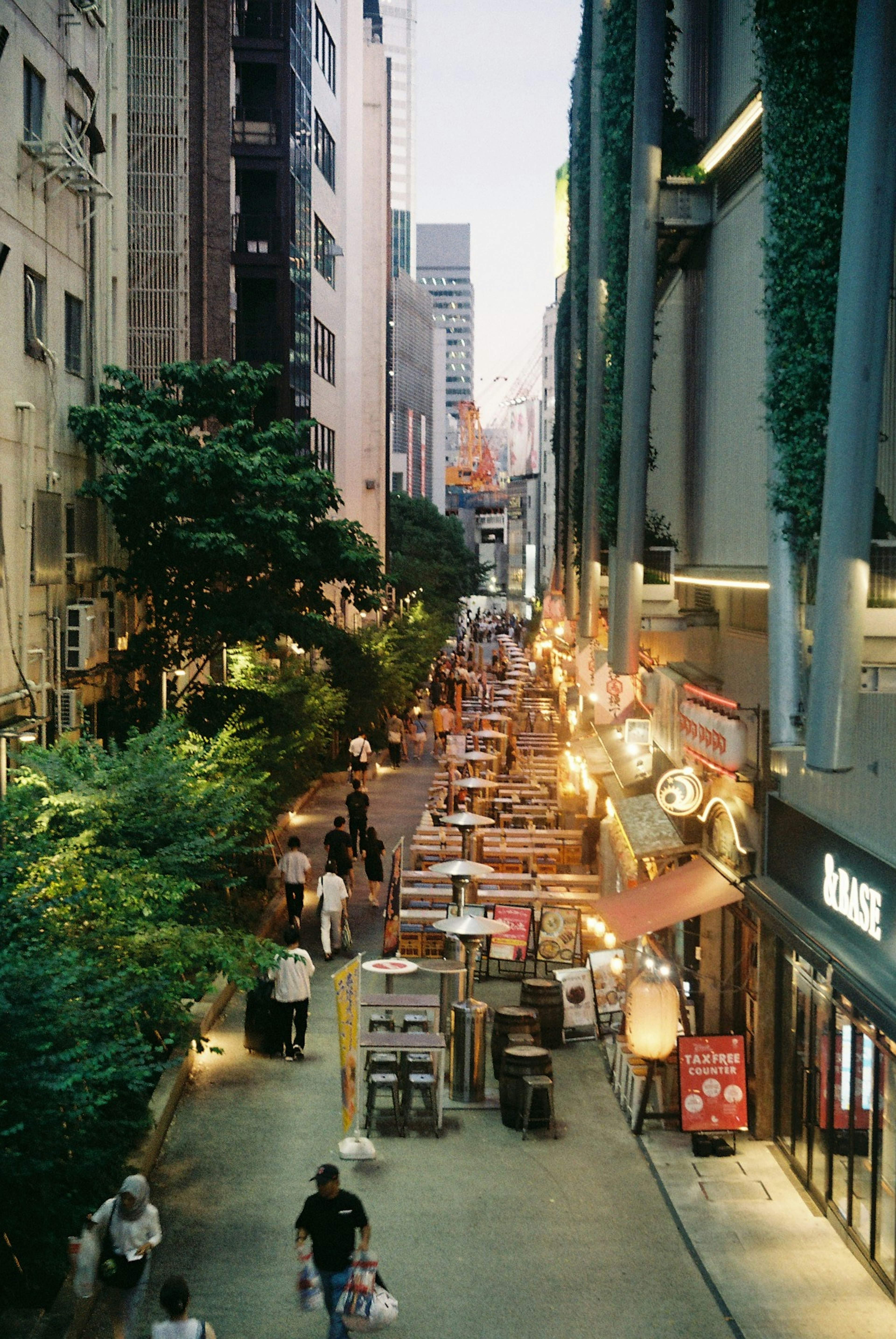 賑やかな街並みの通りに並ぶ飲食店と緑の木々