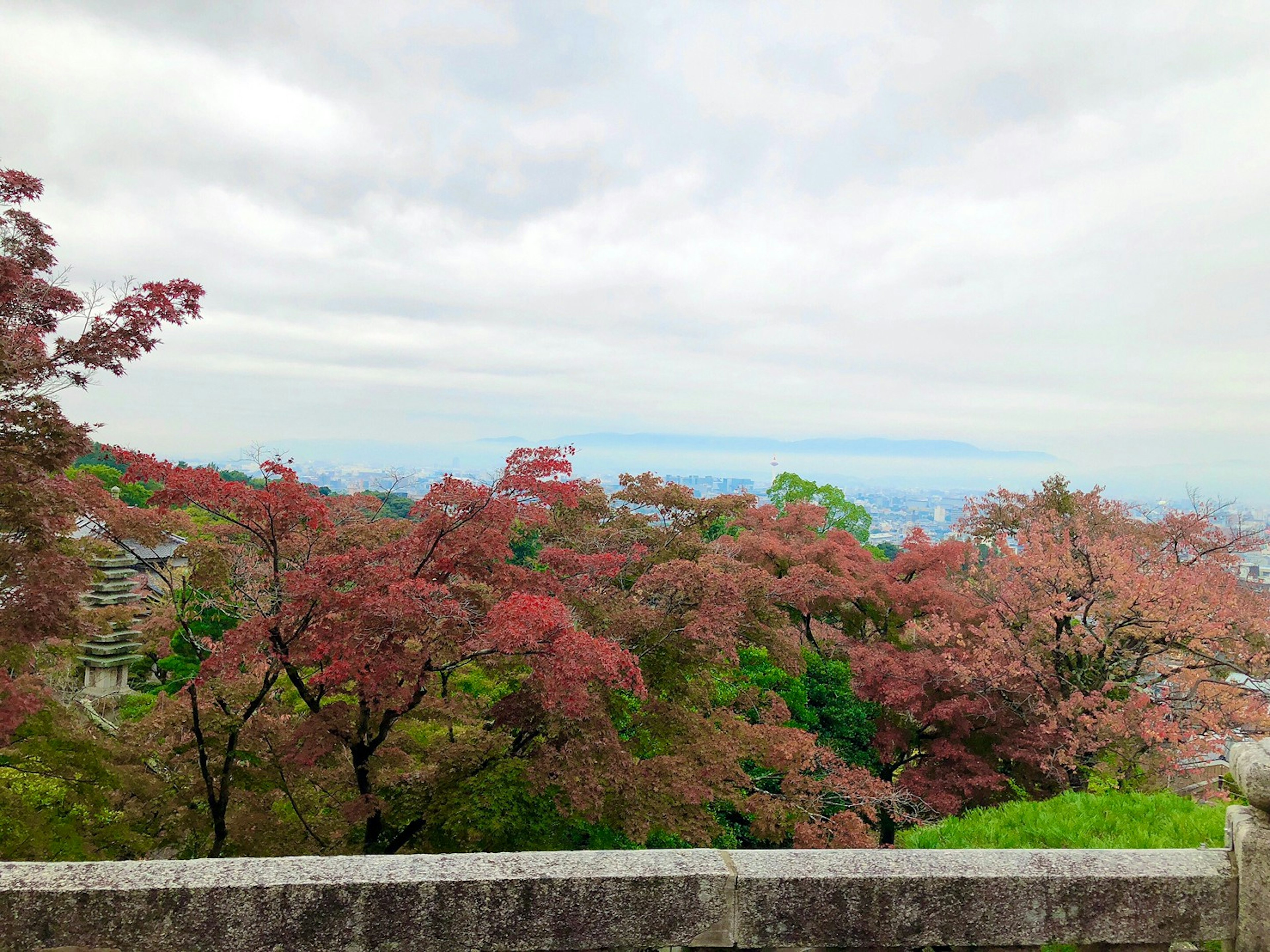 Beautiful landscape surrounded by colorful autumn leaves