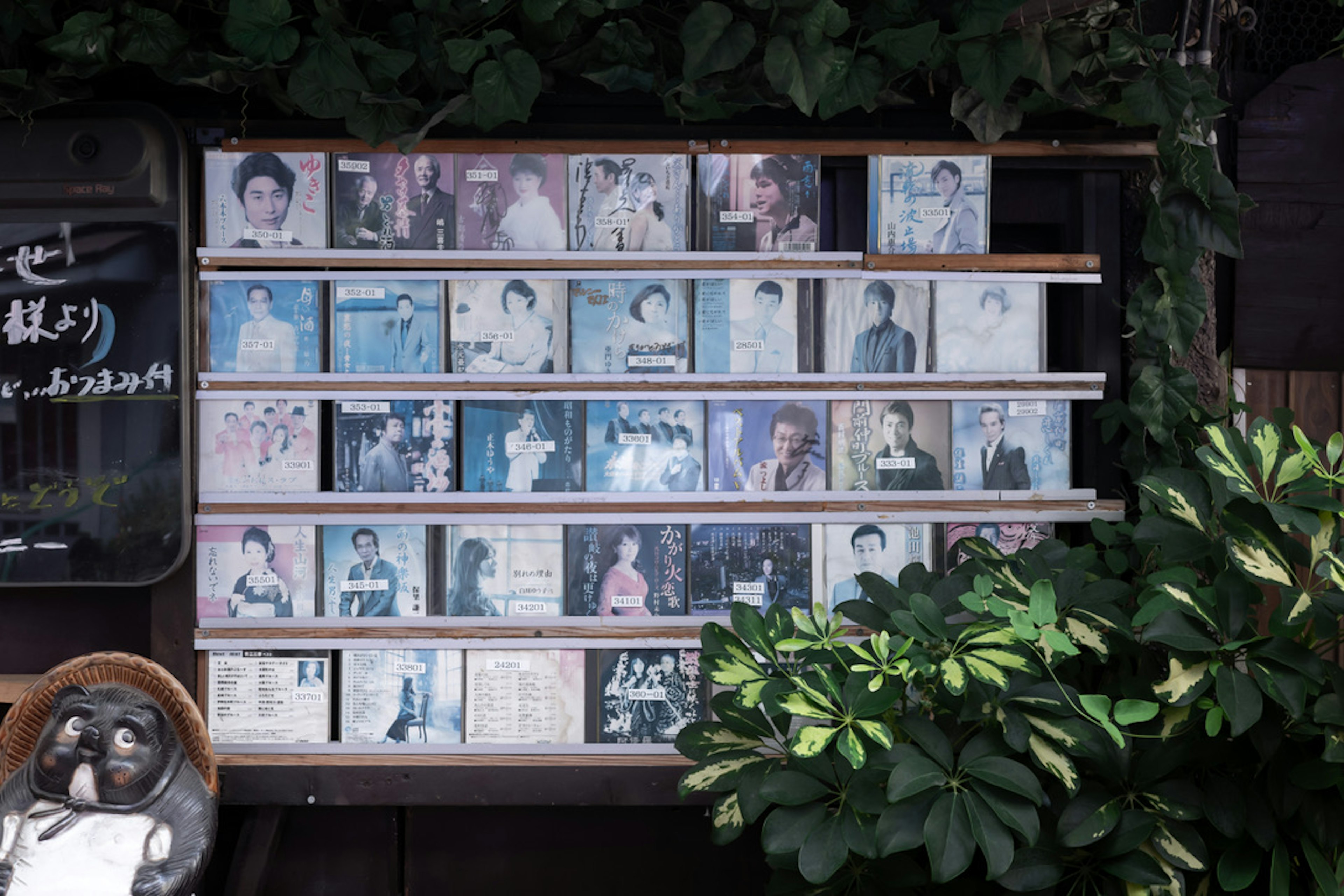 Collection of photographs displayed on a wall featuring diverse styles and expressions of individuals