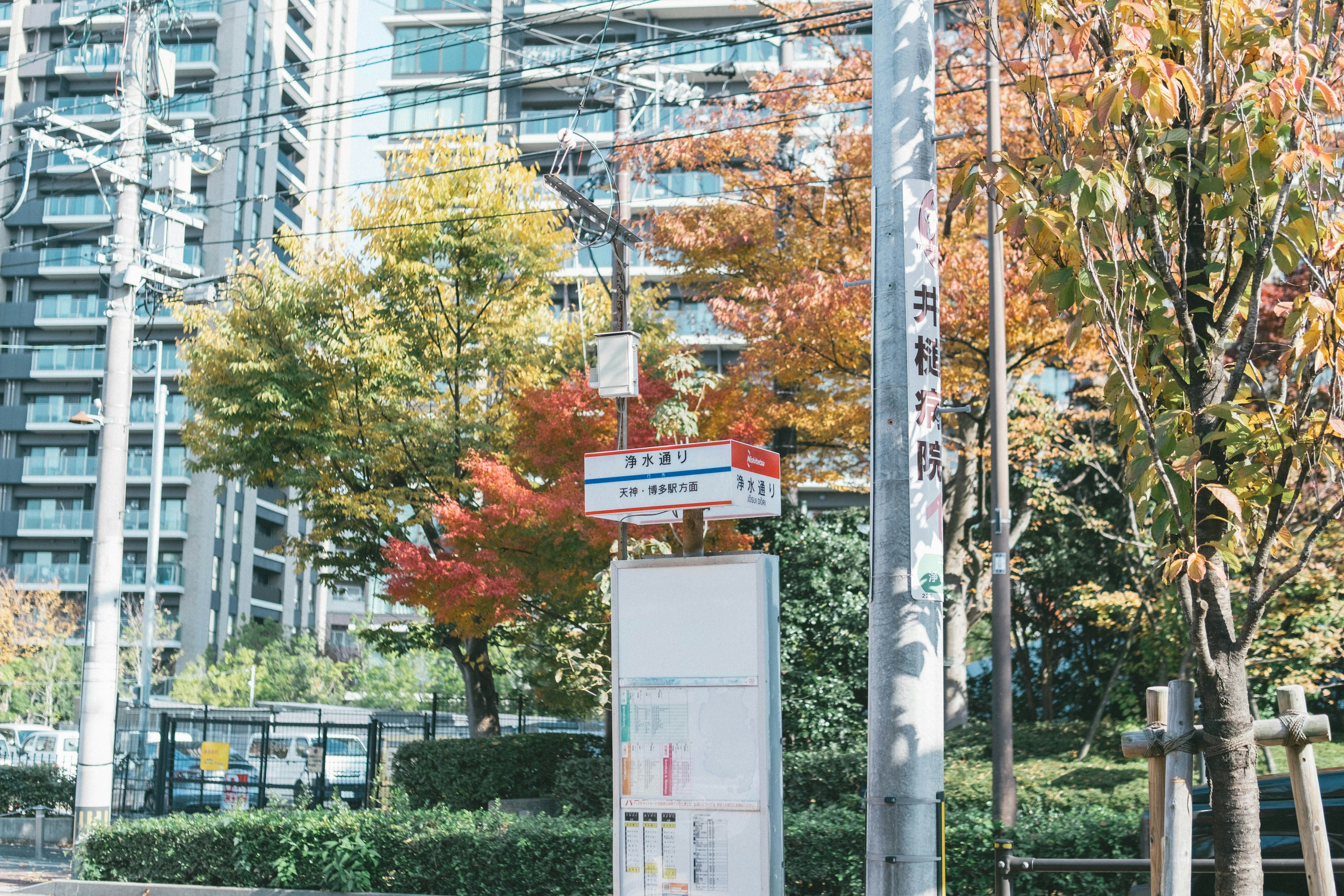 秋の色づいた木々がある街角のバス停と高層ビル