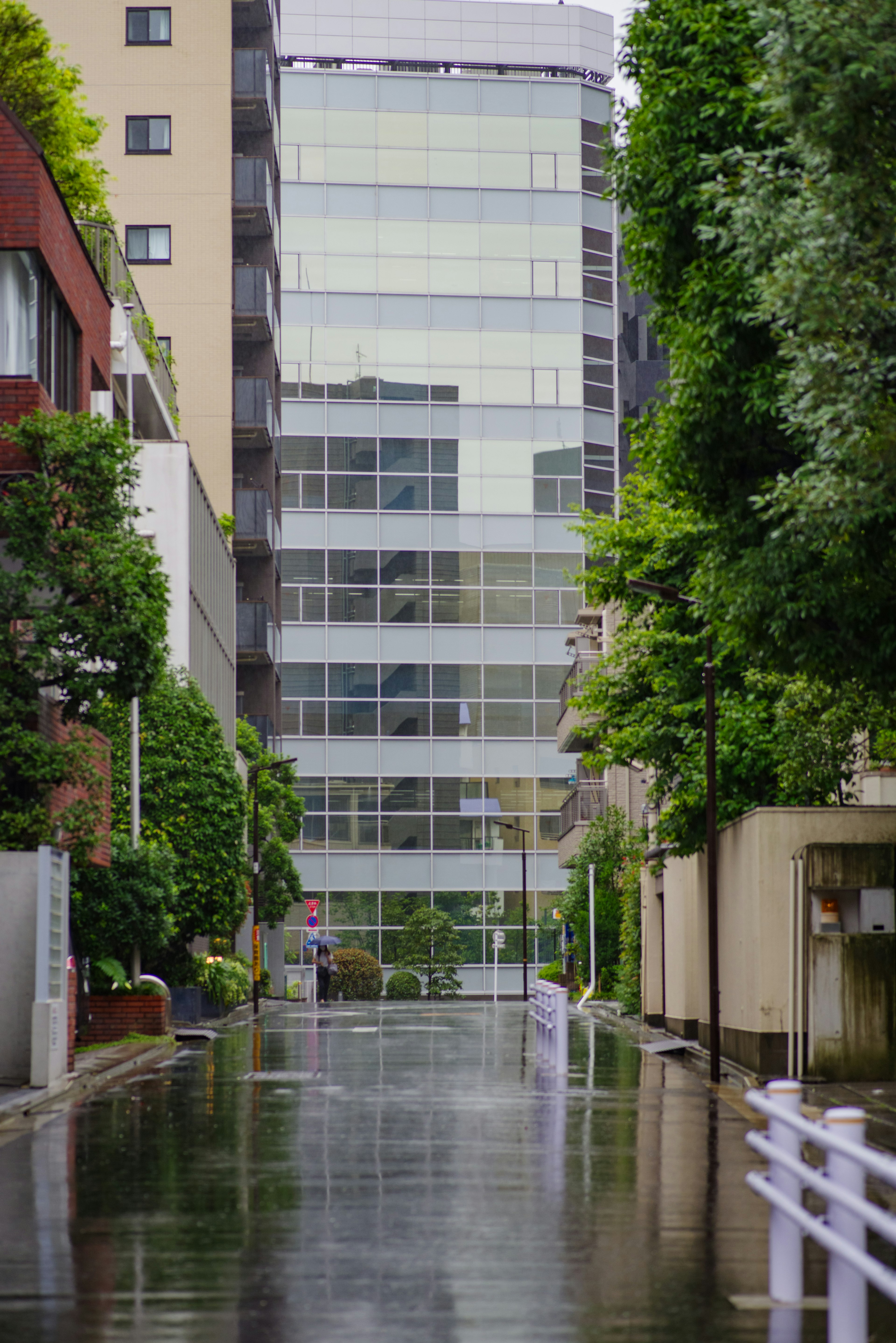 A modern building surrounded by greenery reflecting on a rain-soaked street