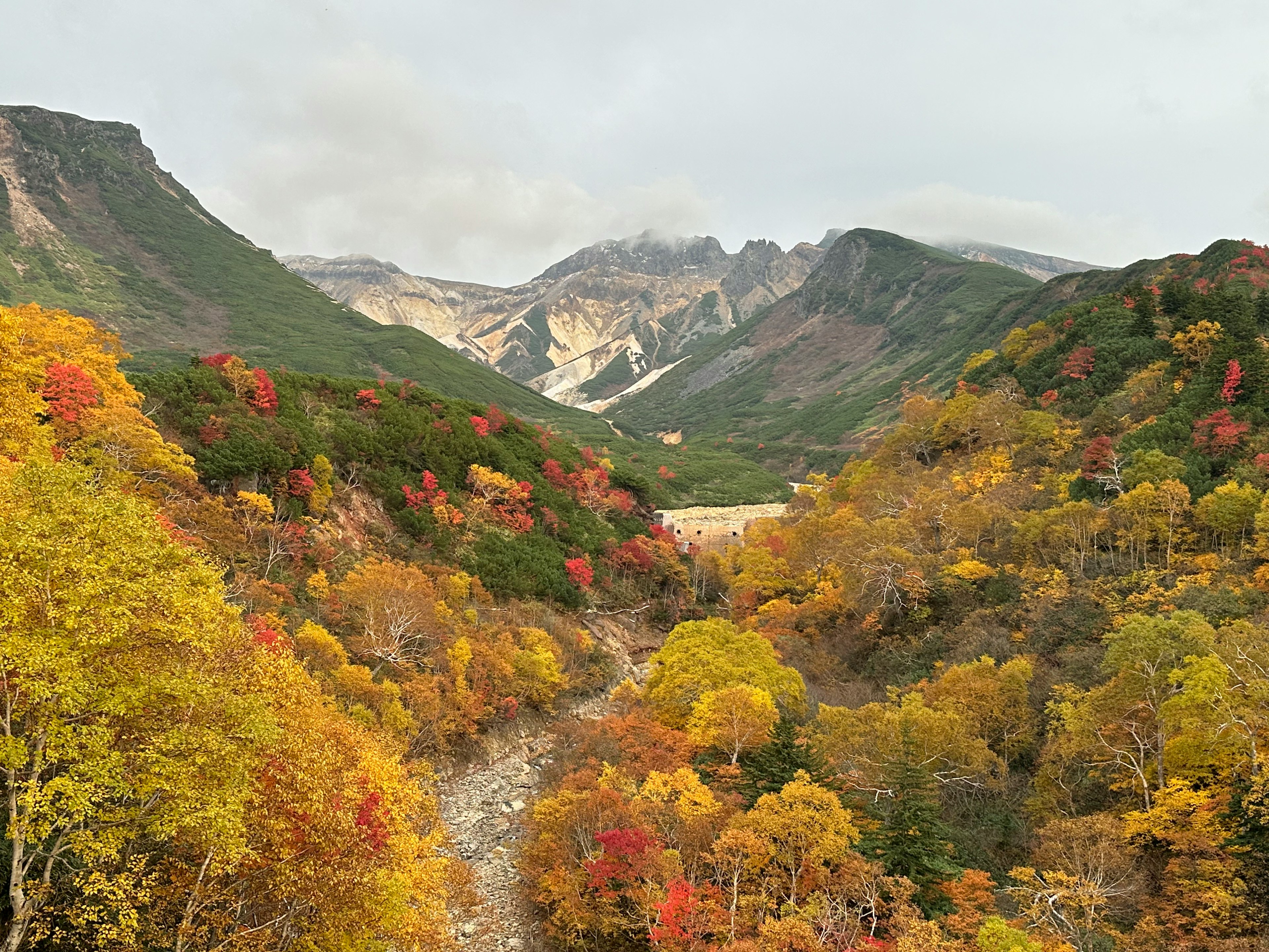 美しい秋の山の風景 緑と赤の木々と山々の景色